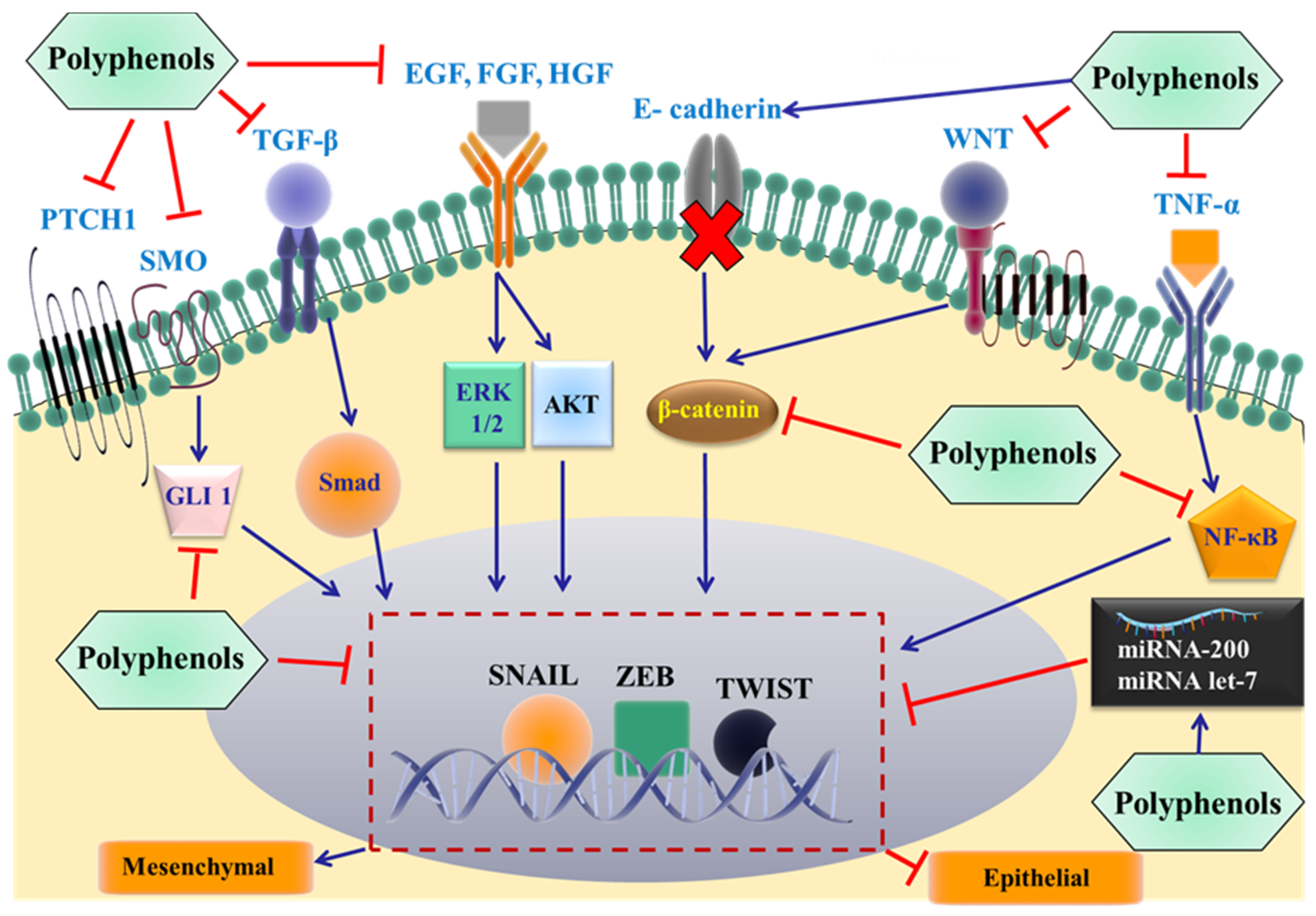 Nutrients 09 00911 g003