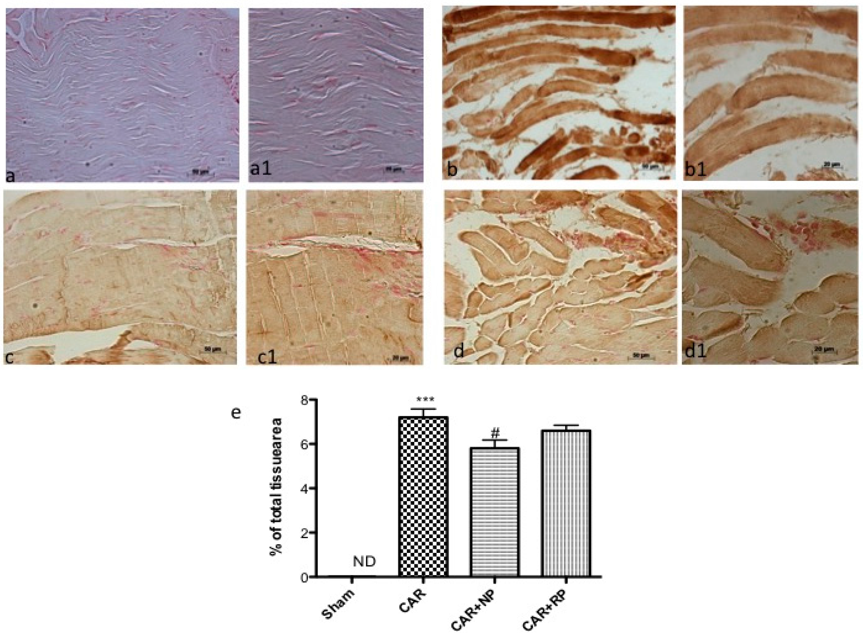 Nutrients 09 00915 g007 Nutrients 09 00915 g007