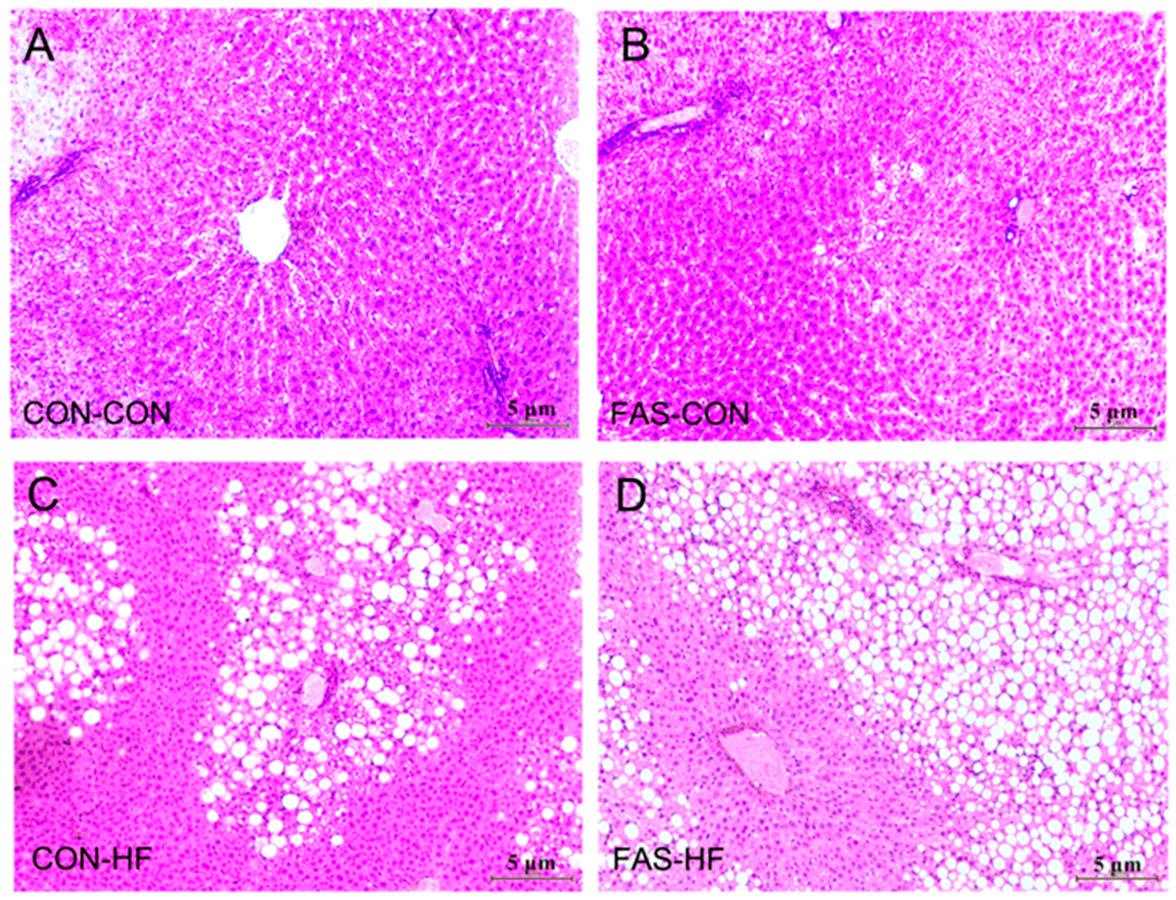 Nutrients 09 00935 g003