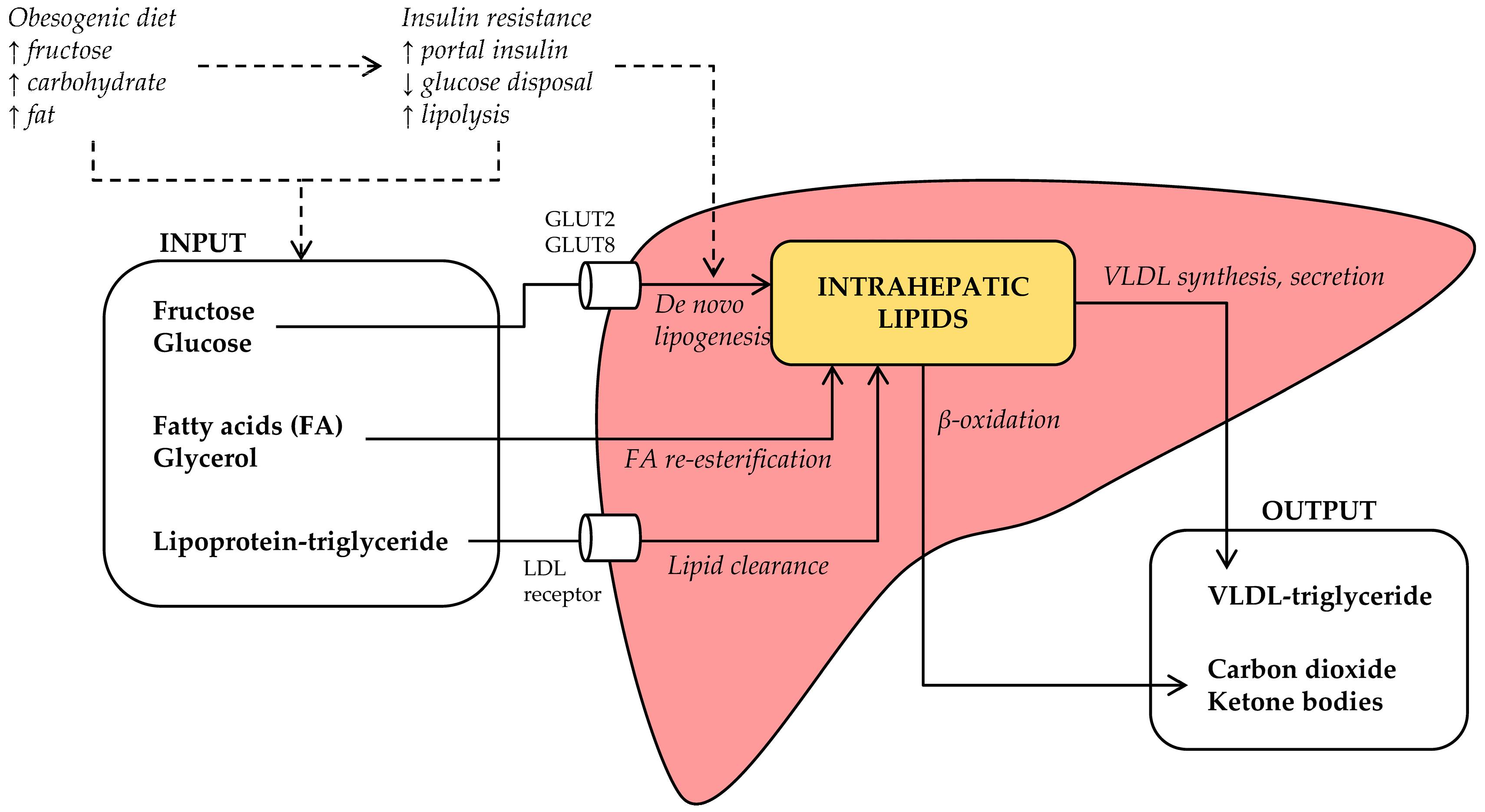 Nutrients 09 00981 g002