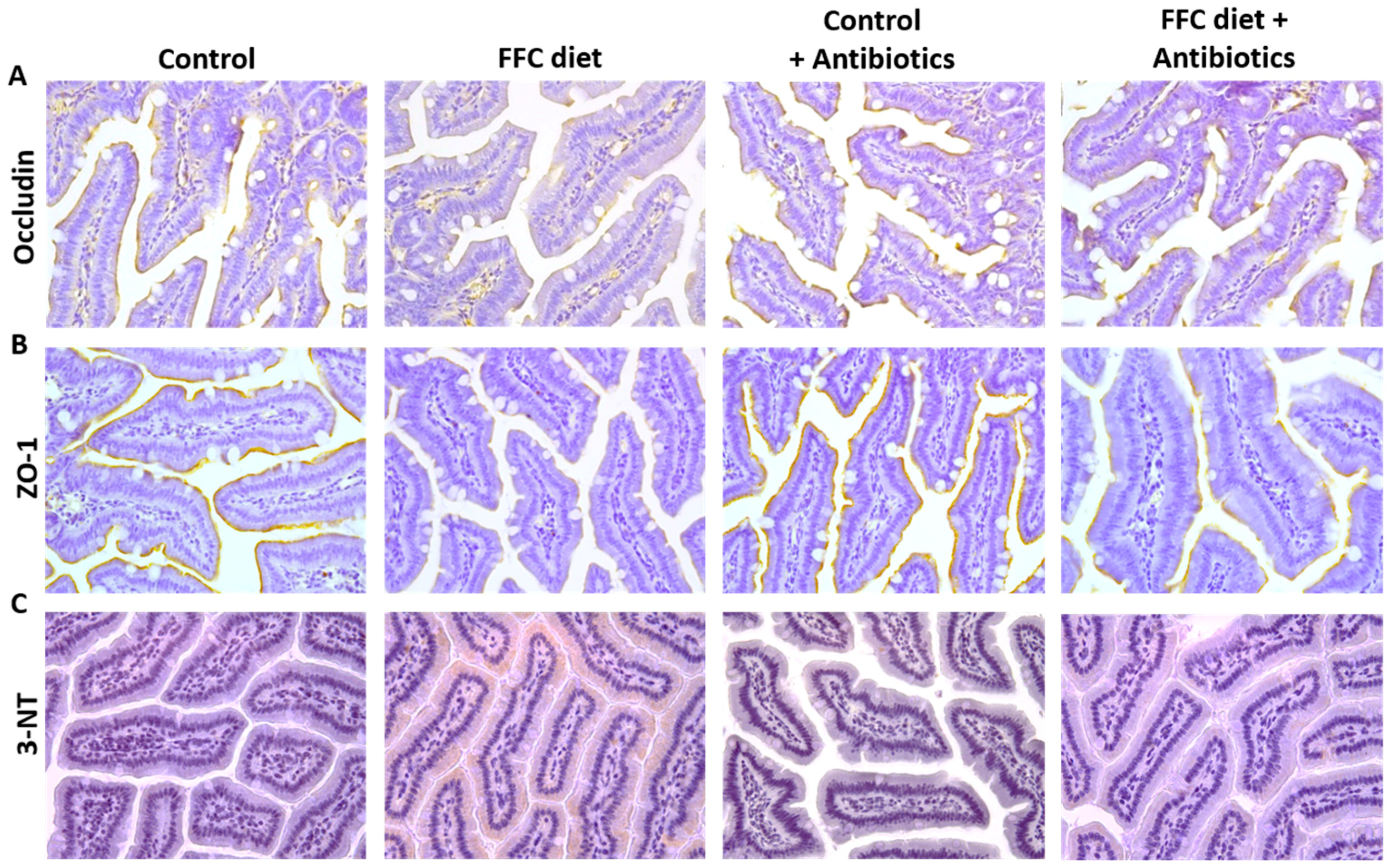 Nutrients 09 01013 g004a