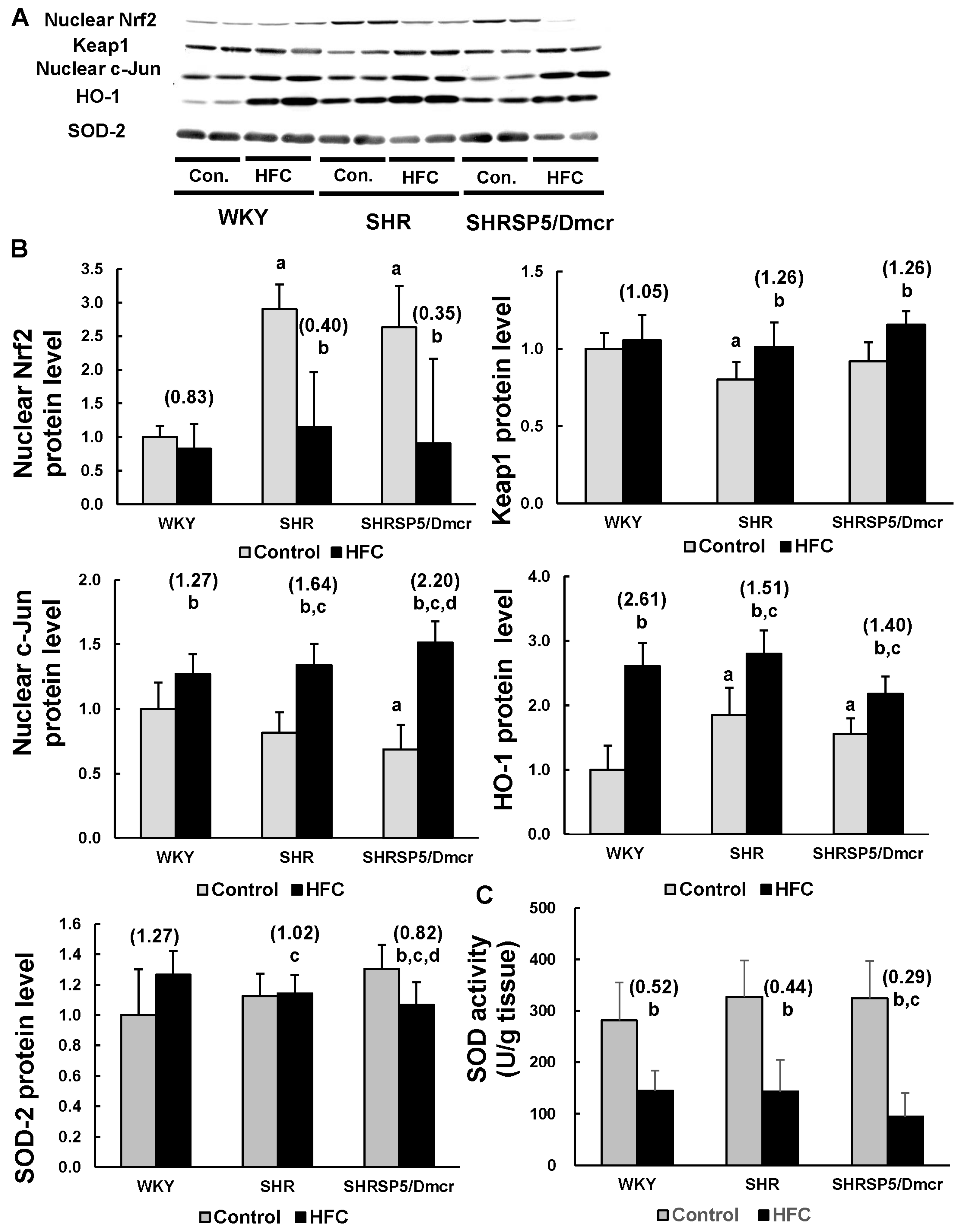 Nutrients 09 01018 g004