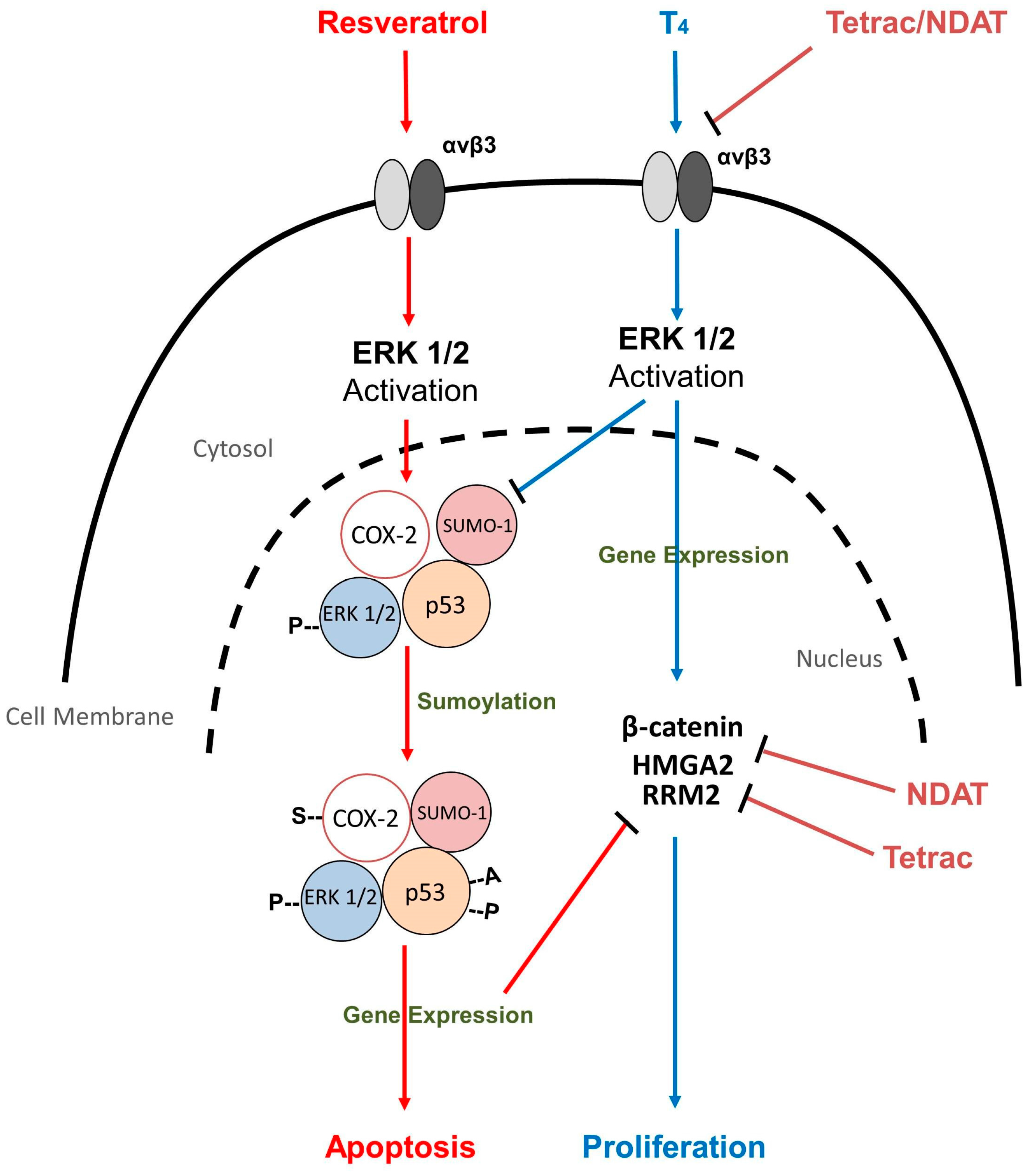 Nutrients 09 01046 g001 Nutrients 09 01046 g001