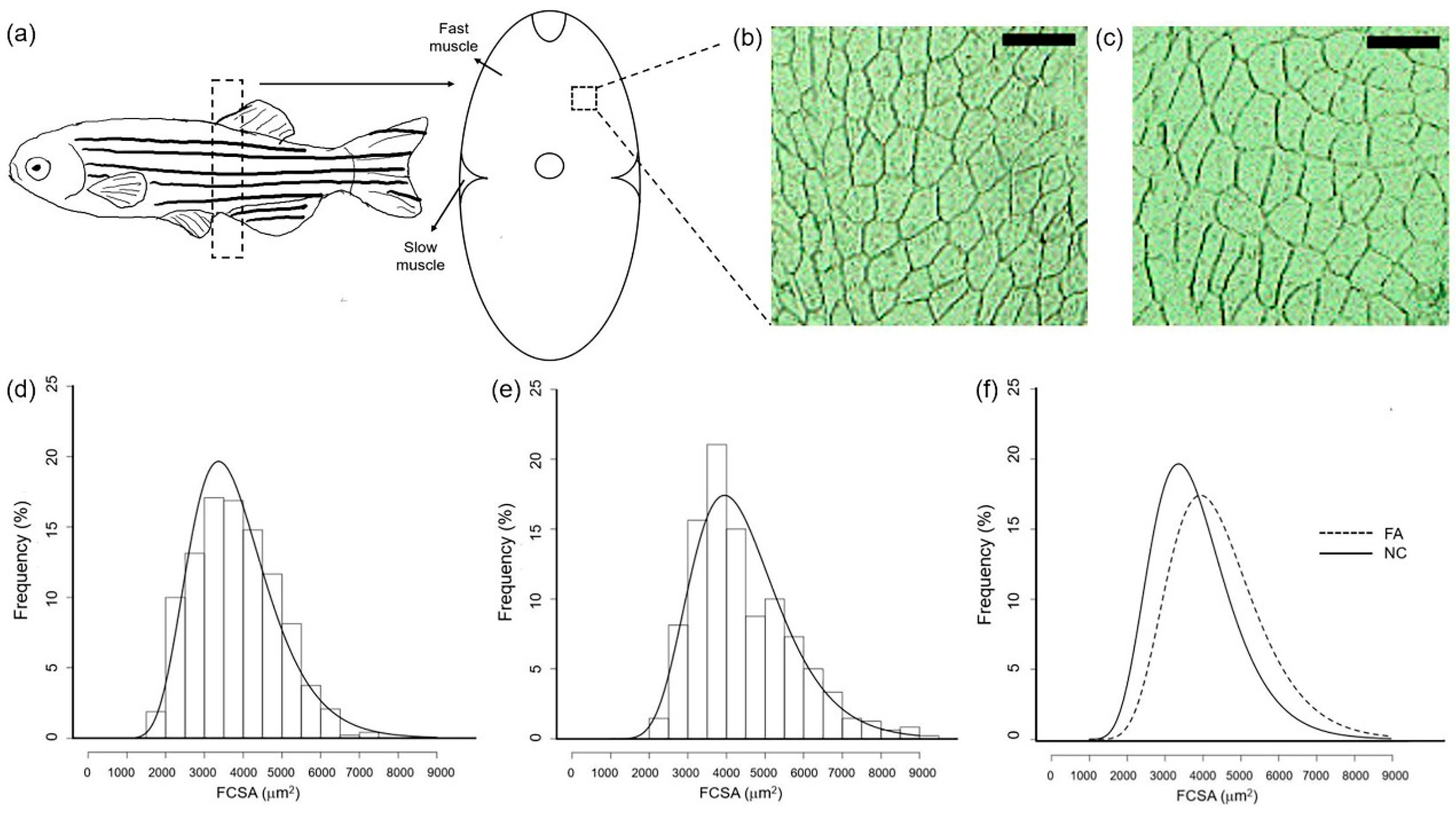 Nutrients 09 01066 g003