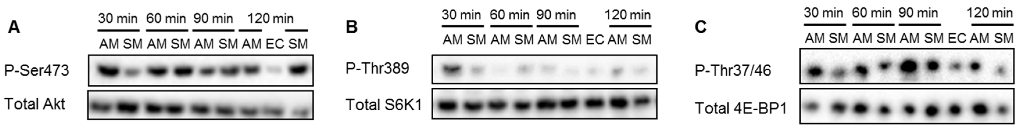 Nutrients 09 01071 g007 550