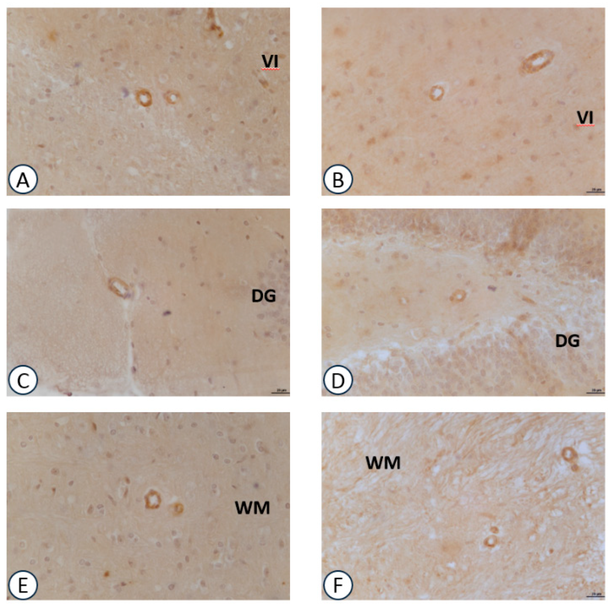 Nutrients 09 01084 g005