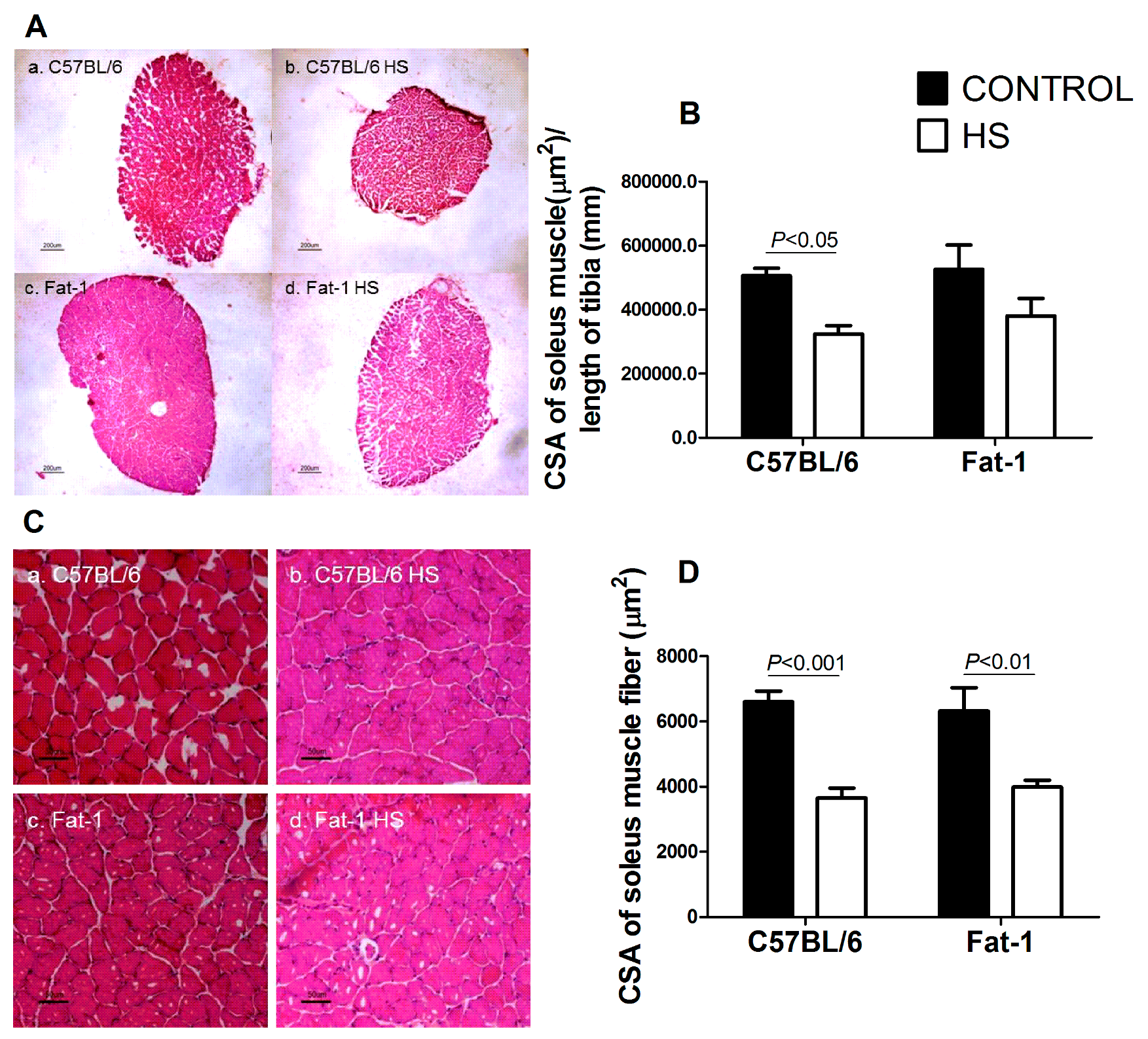 Nutrients | Free Full-Text | Balanced Diet-Fed Fat-1 Transgenic Mice