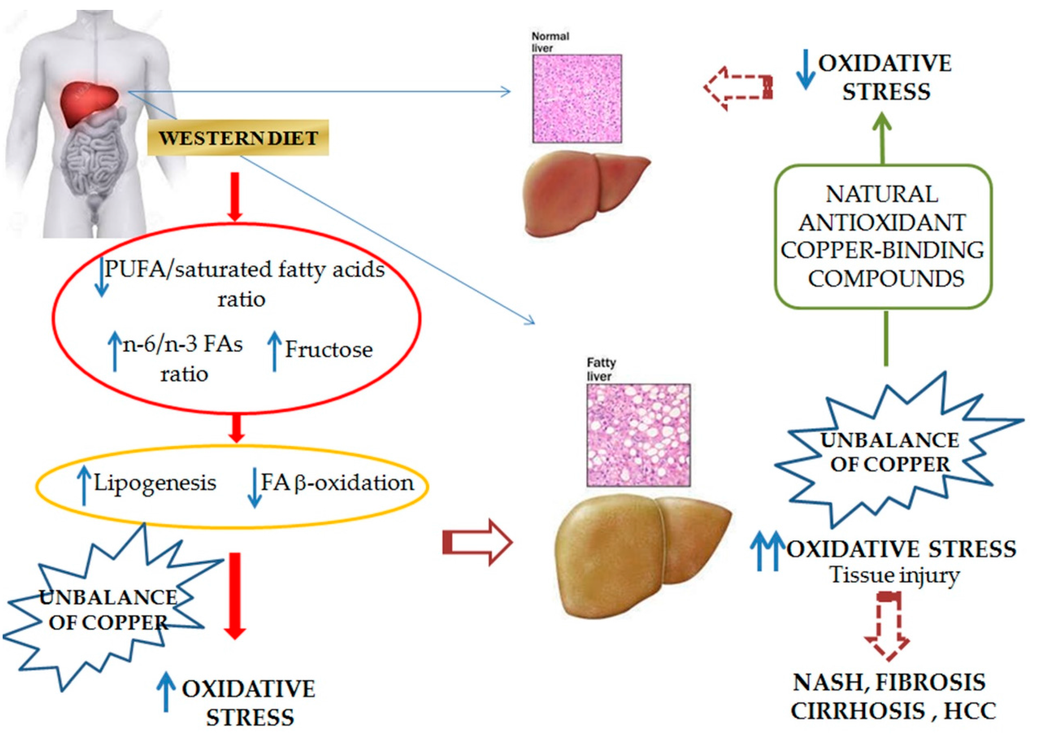 Nutrients 09 01137 g002