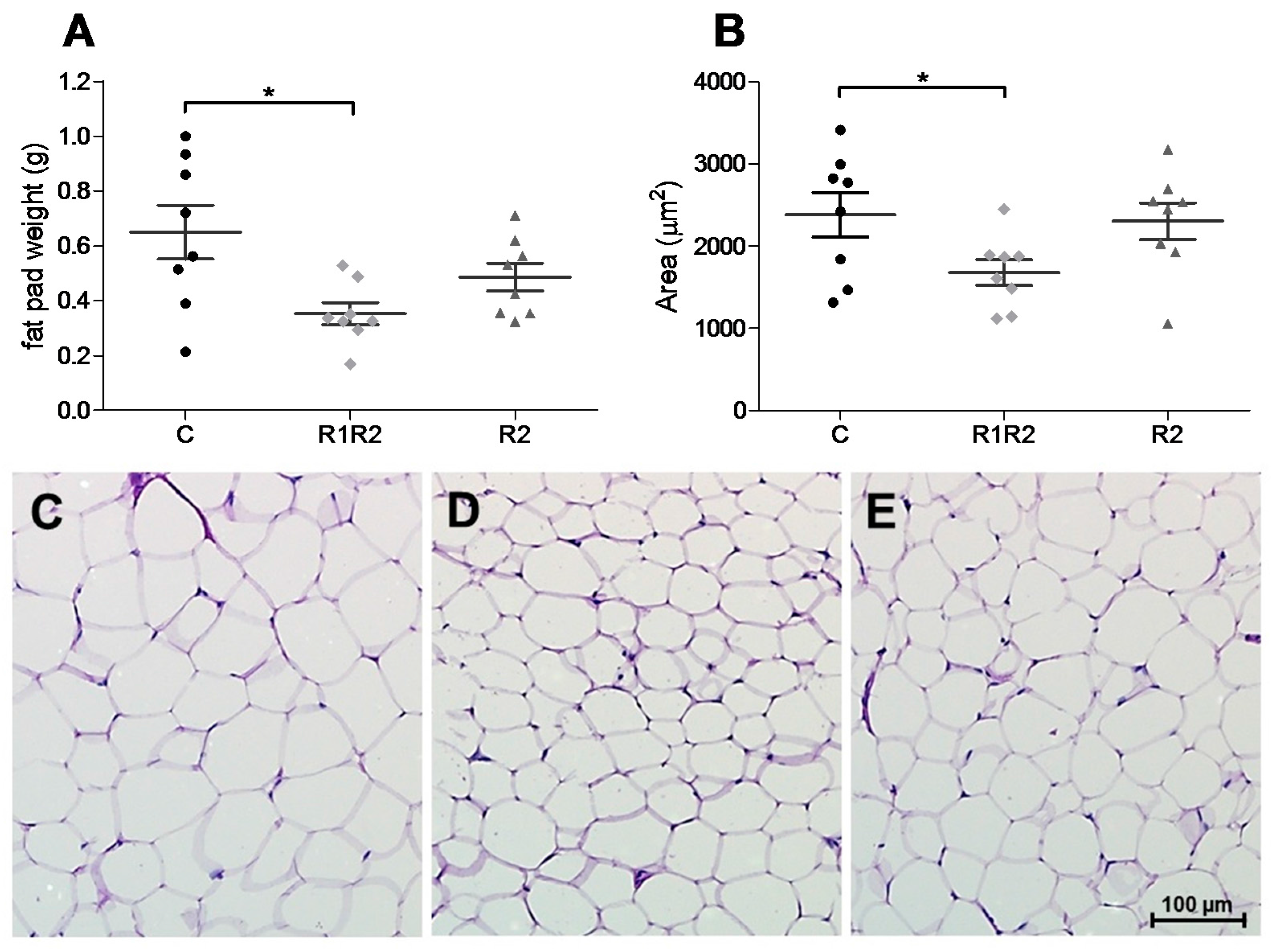 Nutrients 09 01149 g005 550