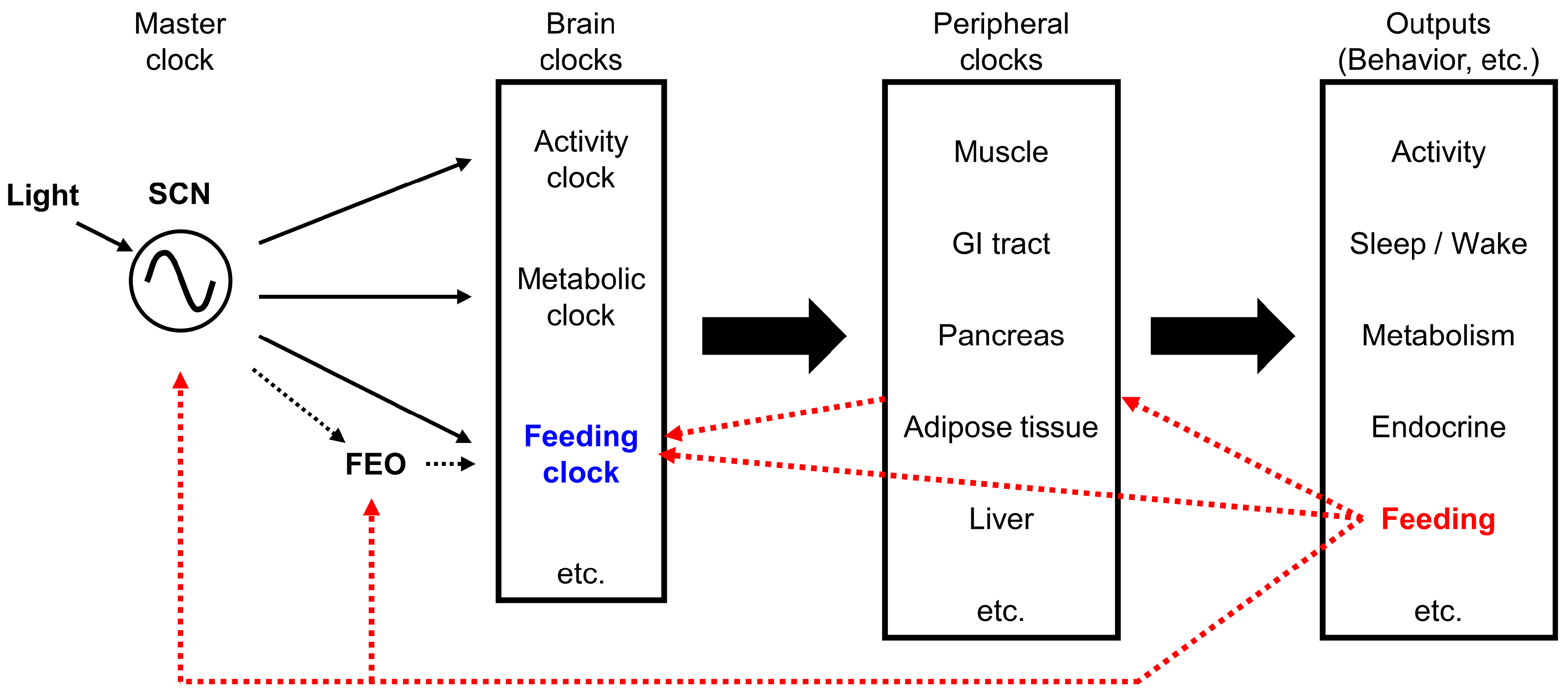 Nutrients 09 01151 g002 Nutrients 09 01151 g002