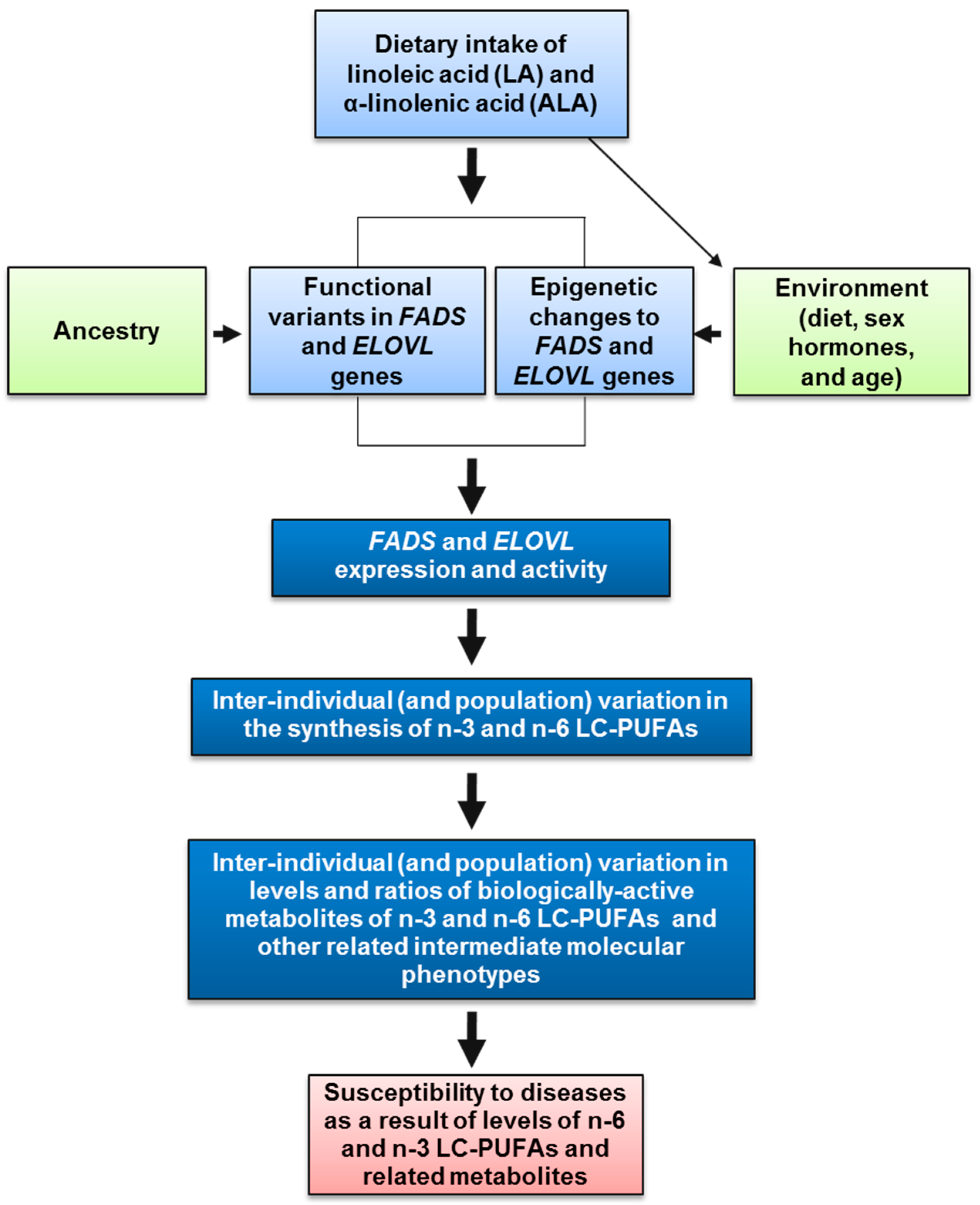 Nutrients Free Full Text Precision Nutrition And Omega 3 Polyunsaturated Fatty Acids A Case For Personalized Supplementation Approaches For The Prevention And Management Of Human Diseases Html