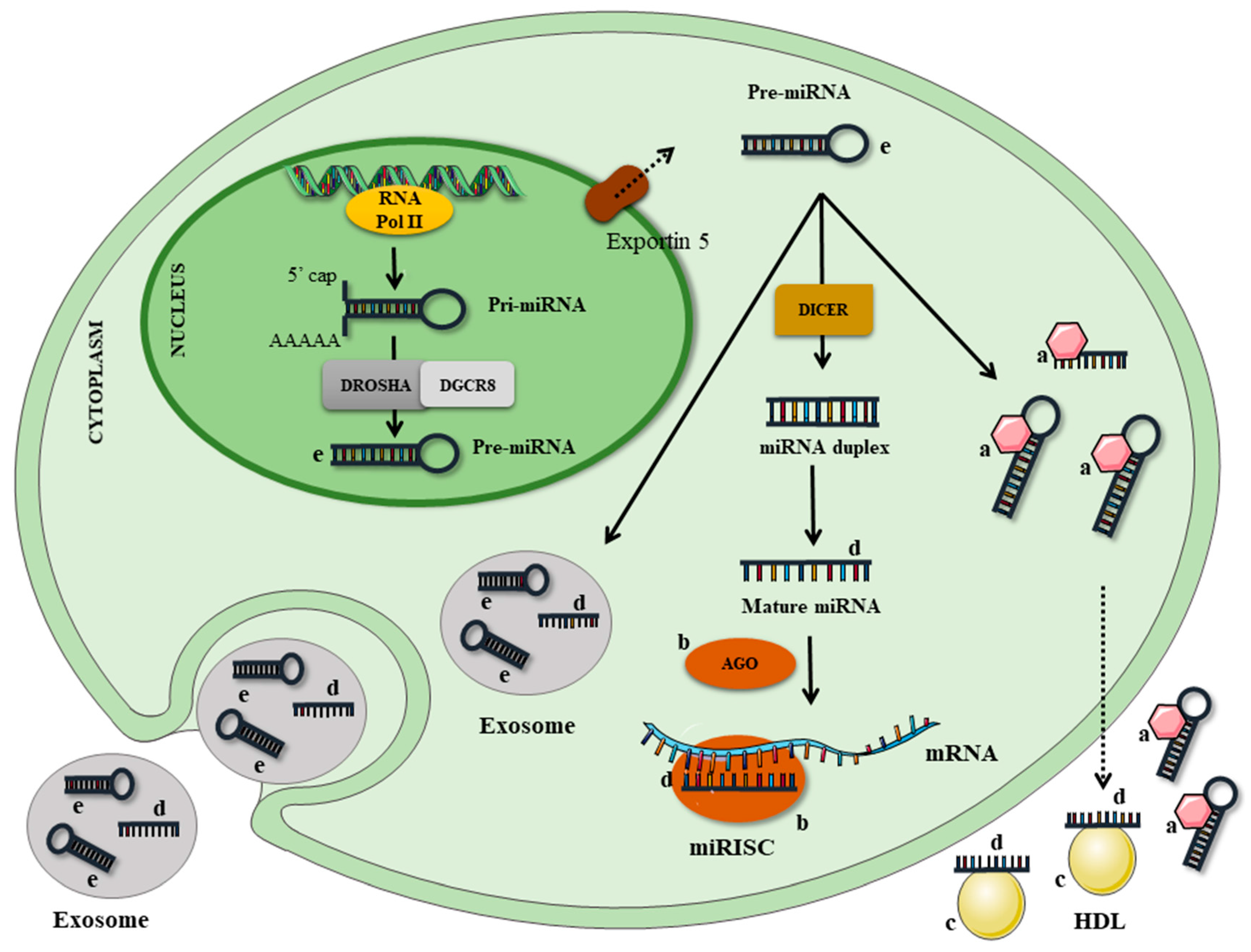 Nutrients 09 01168 g001 Nutrients 09 01168 g001
