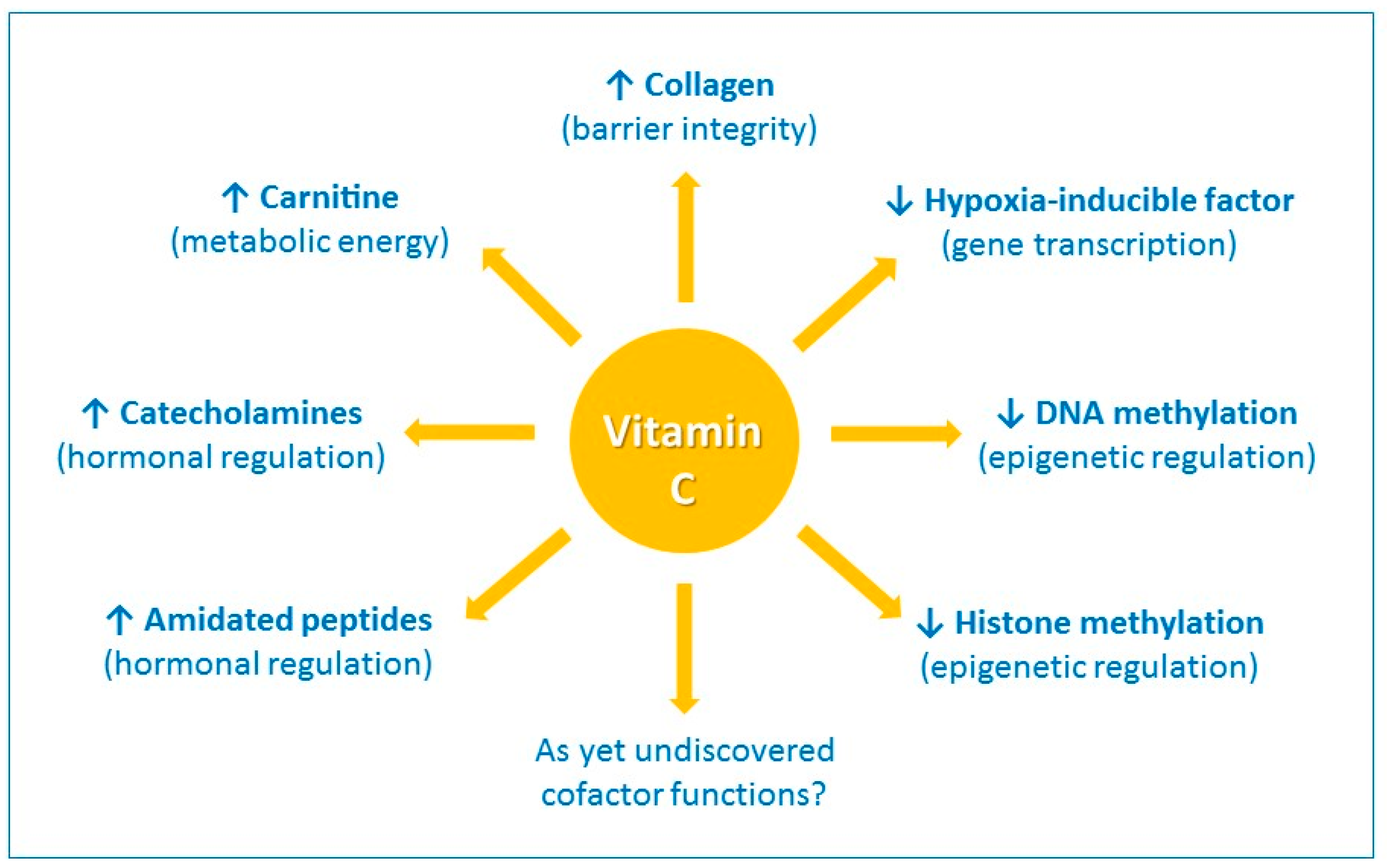 Nutrients | Free Full-Text | Vitamin C and Immune Function ... pneumonia patient diagram 