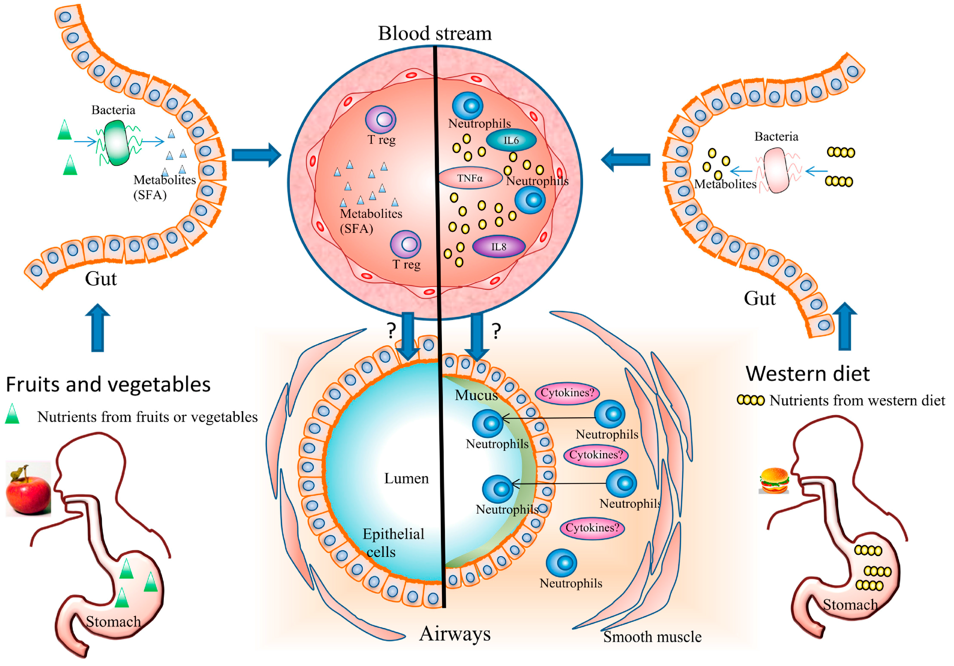 Nutrients Free Full-Text Diet and Asthma Is It Time to Adapt Our Message? photo photo