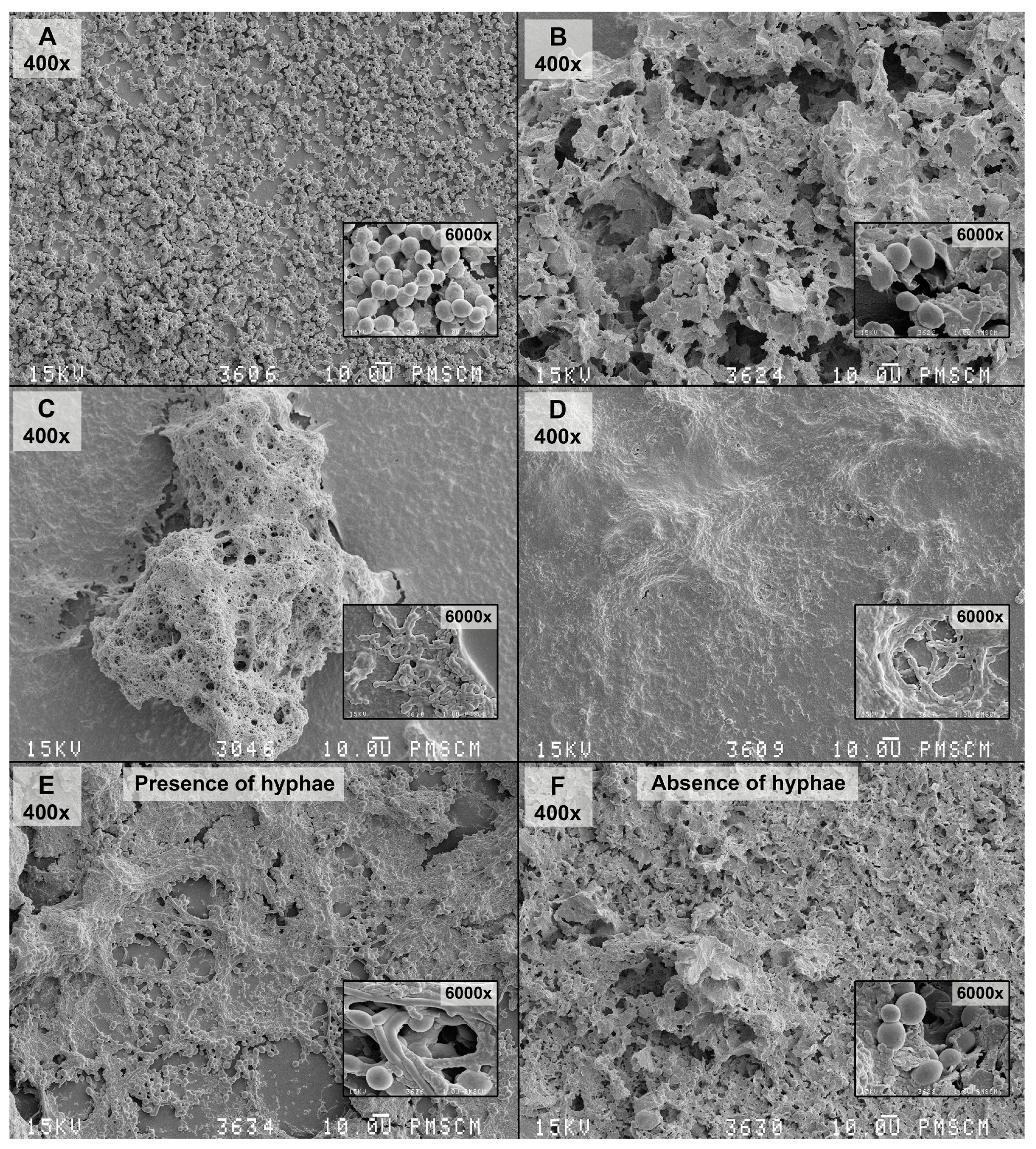 Nutrients 09 01242 g008