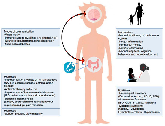 Nutrients Free Full Text Probiotic Prebiotic And Brain Development Html