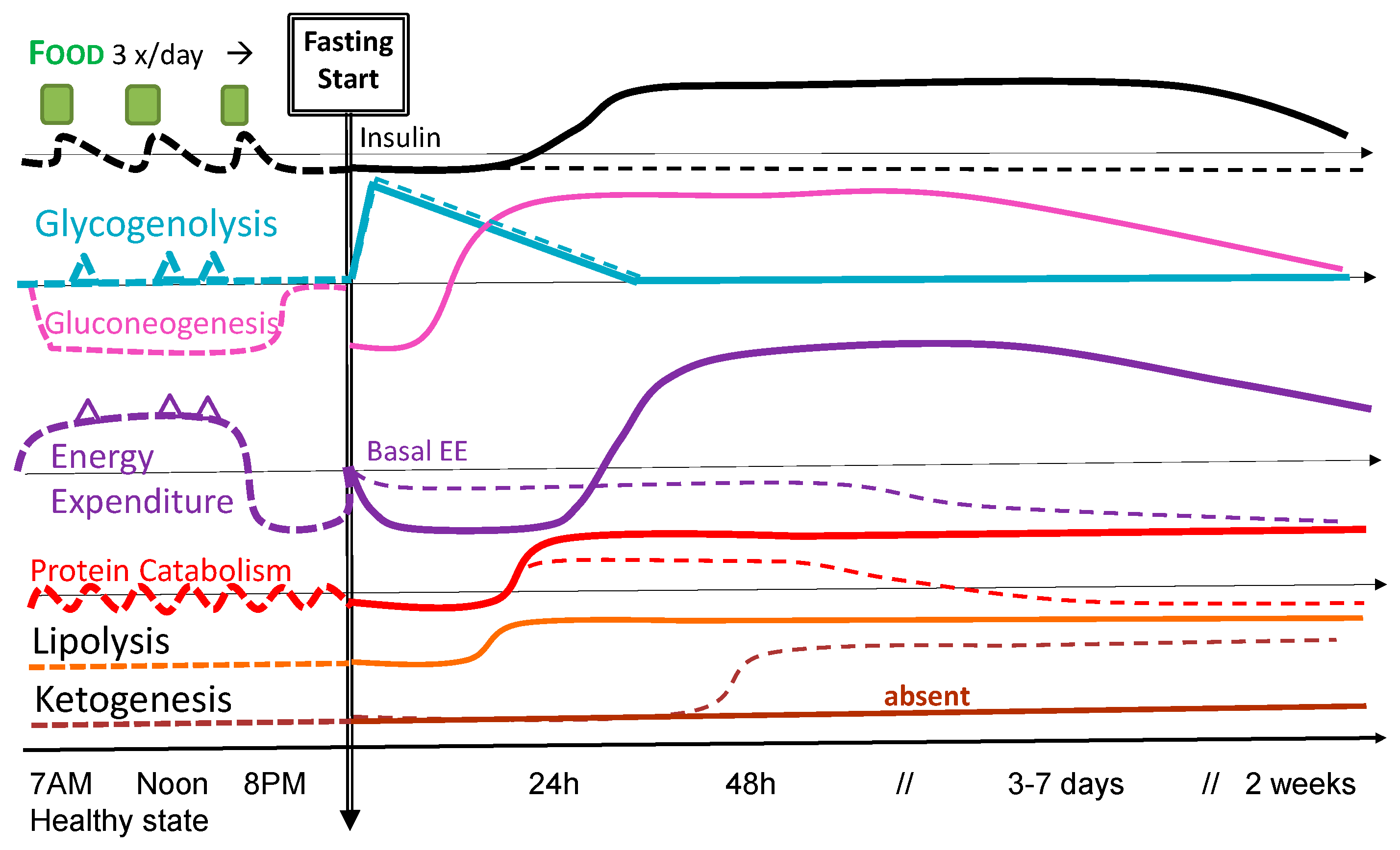 Nutrients 09 01278 g001 550