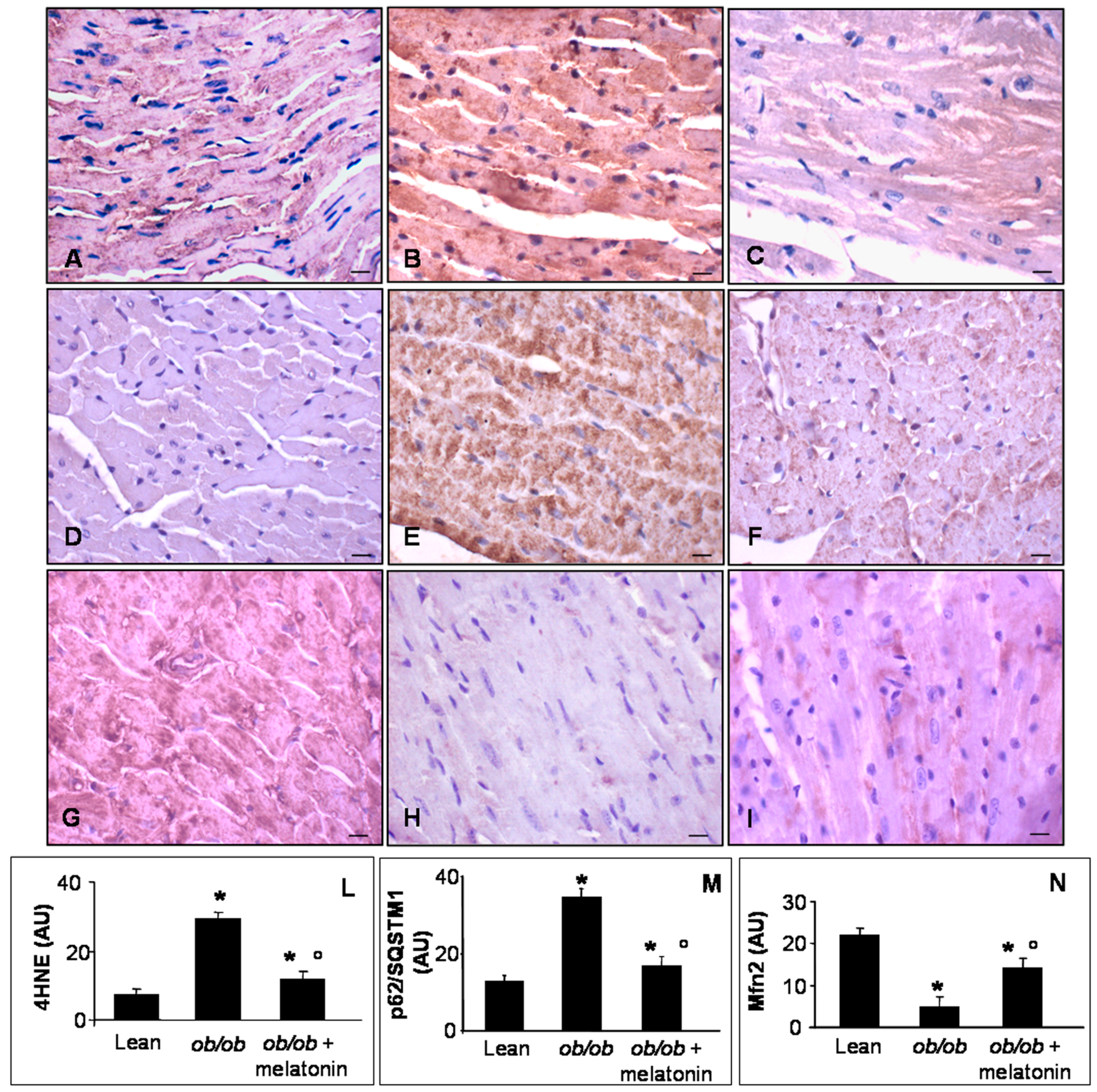 Nutrients 09 01323 g005