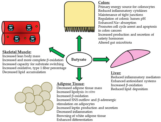 nutrients 09 01348 g001 550