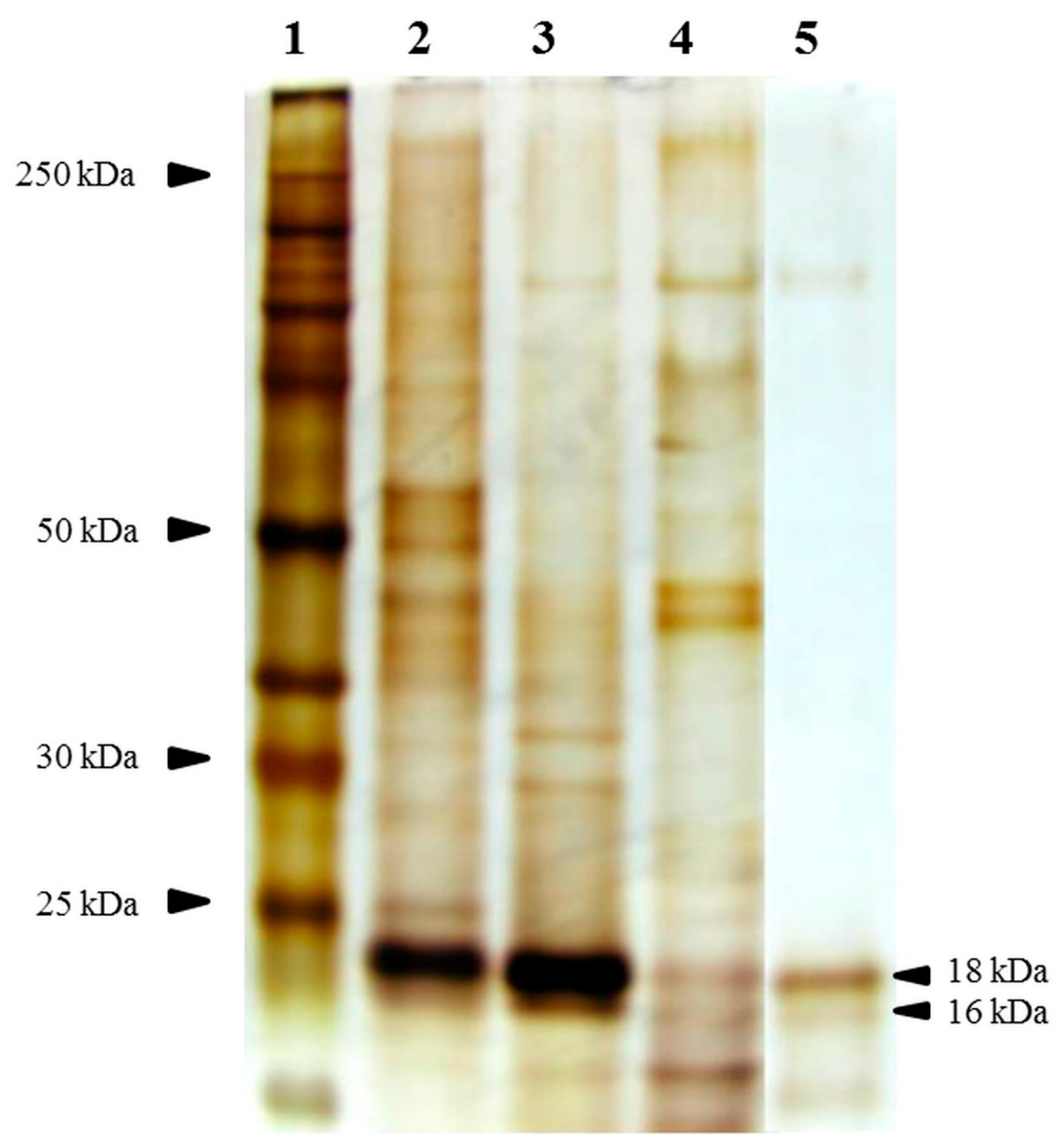 Nutrients 09 01363 g0a2