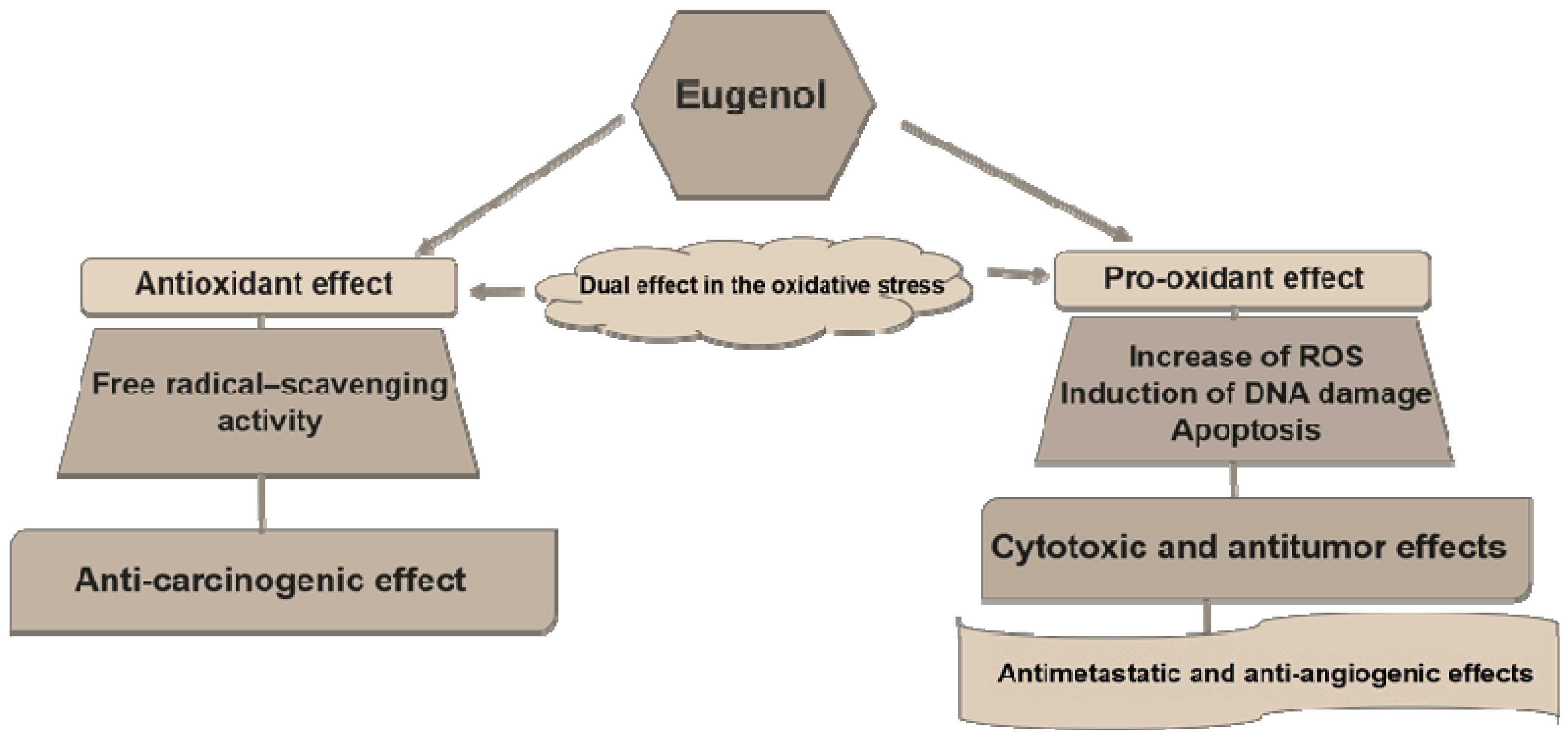Antioxidant and Cytotoxic Activity of Essential Oils and Their Principal  Components: Spectrophotometric, Voltammetric, and Theoretical Investigation  of the Chelating Effect of Eugenol and Carvacrol