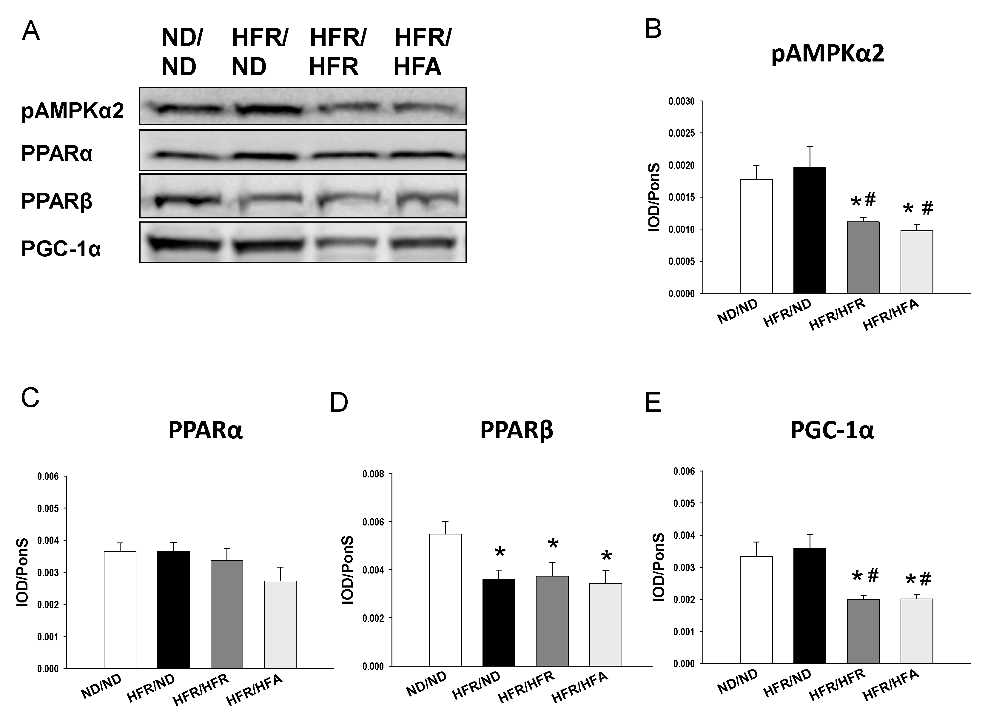 Nutrients 10 00056 g003
