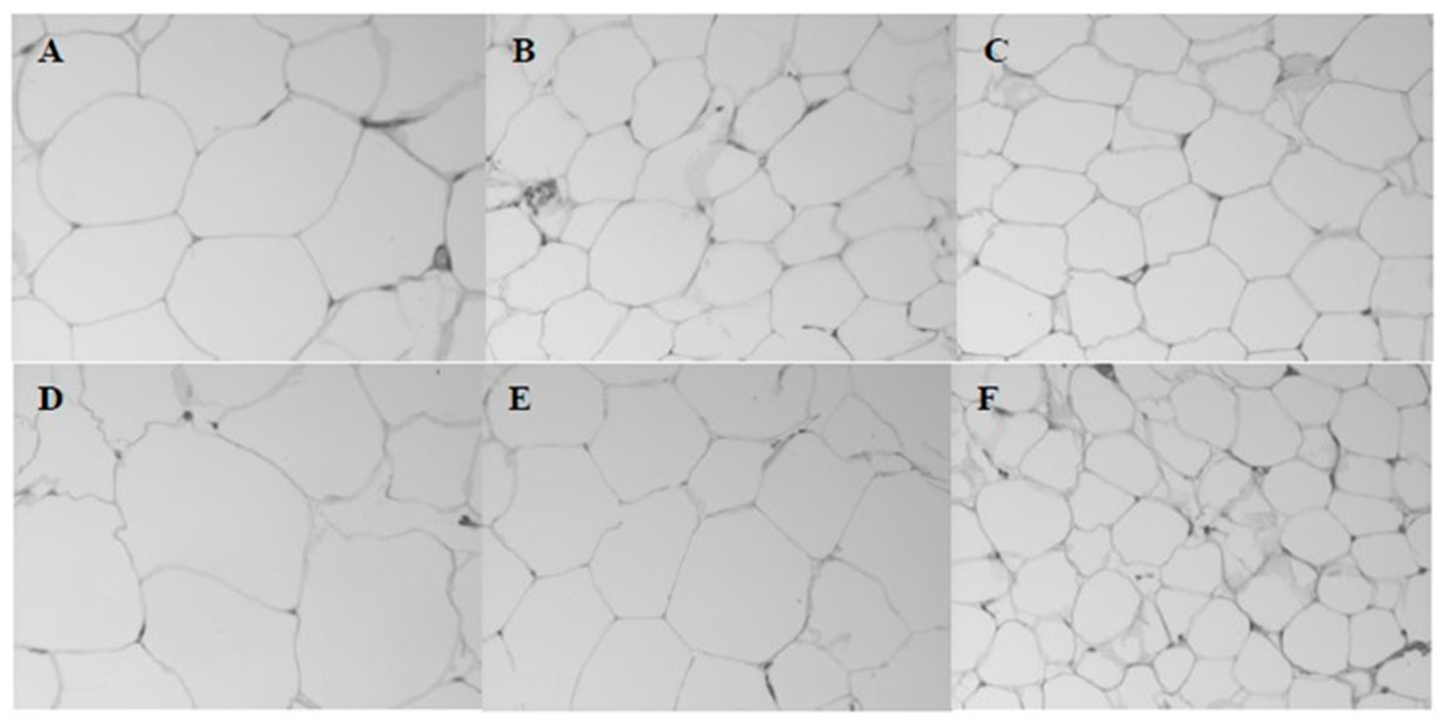 Nutrients 10 00065 g002