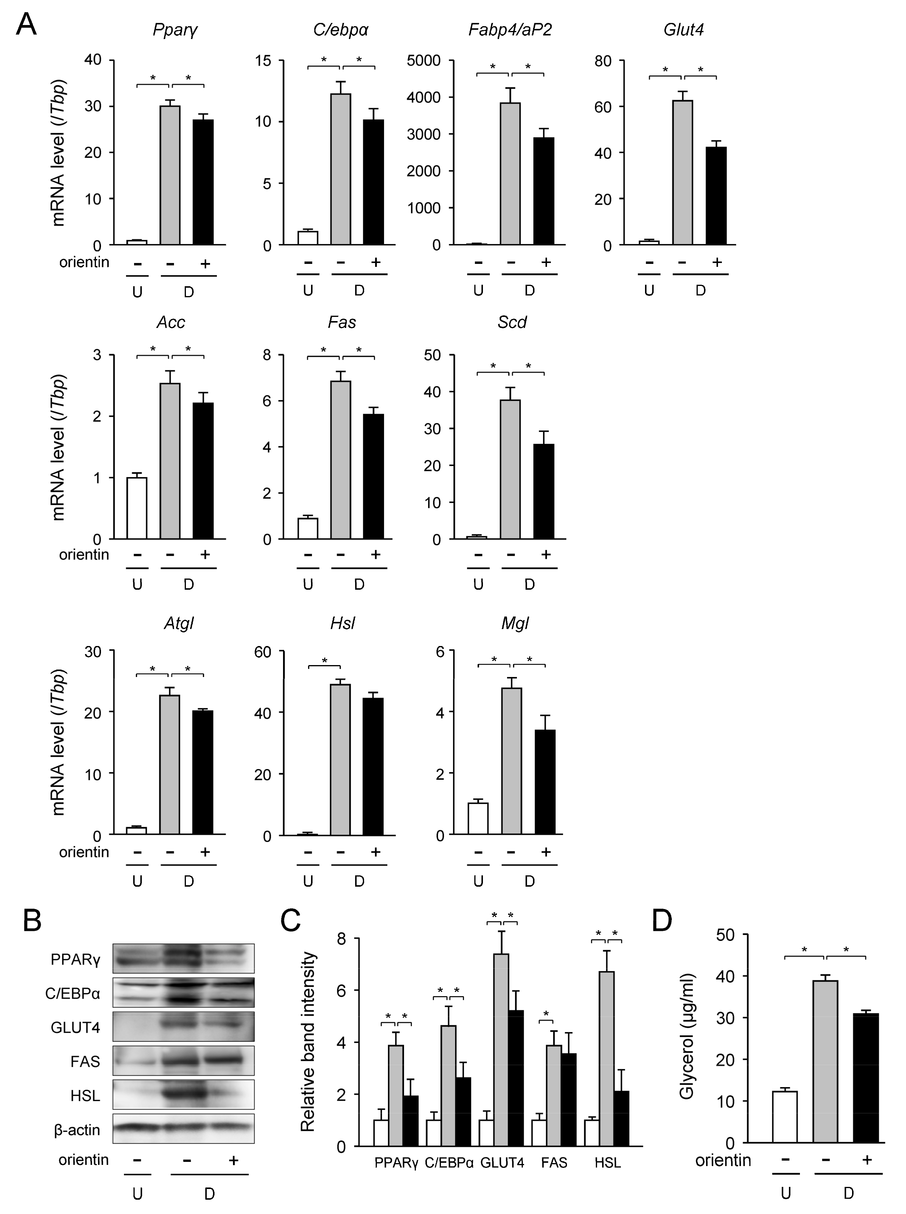 Nutrients 10 00130 g002 550