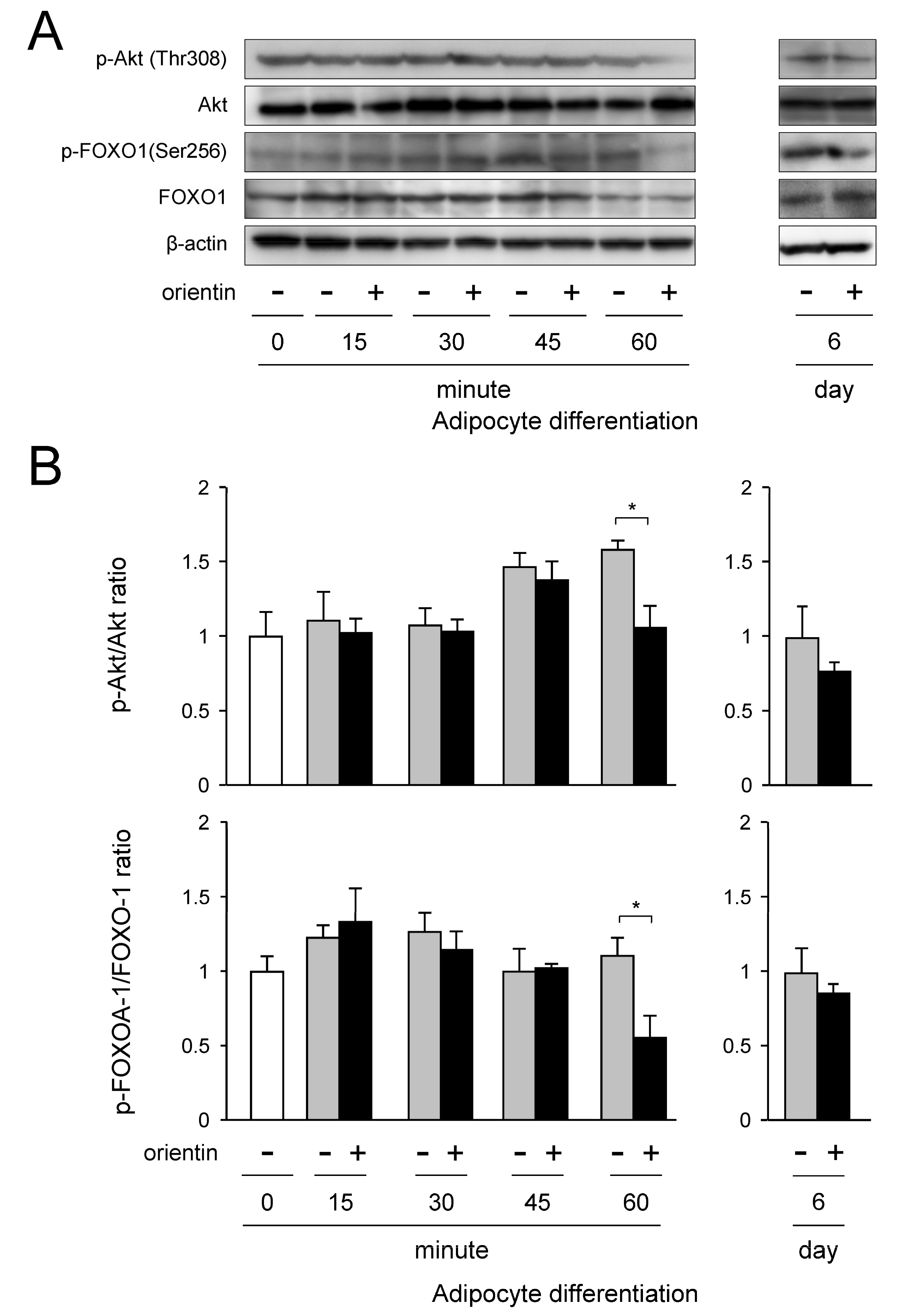 Nutrients 10 00130 g006 550