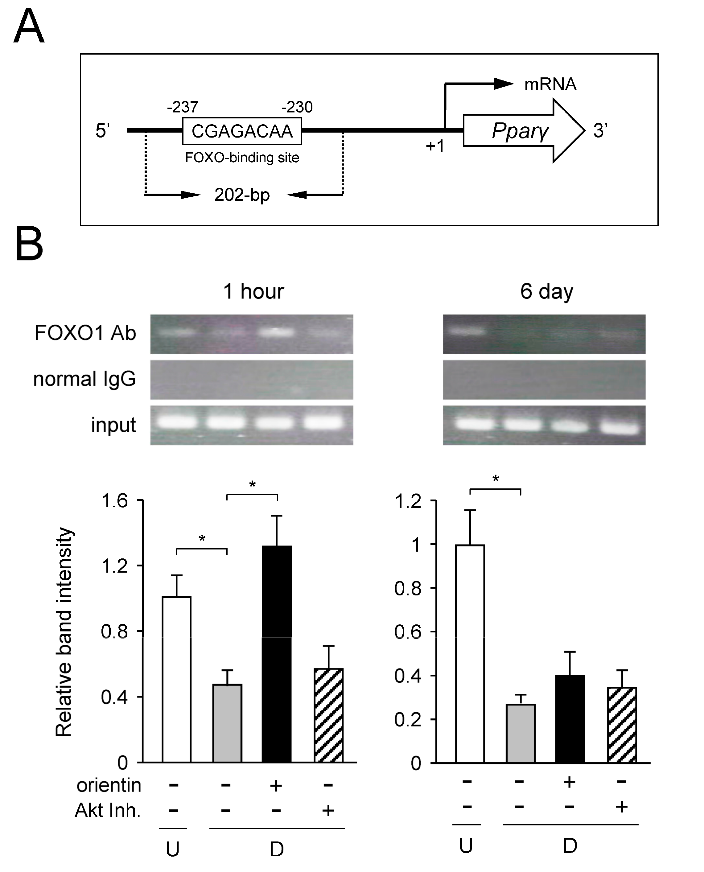 Nutrients 10 00130 g008 550