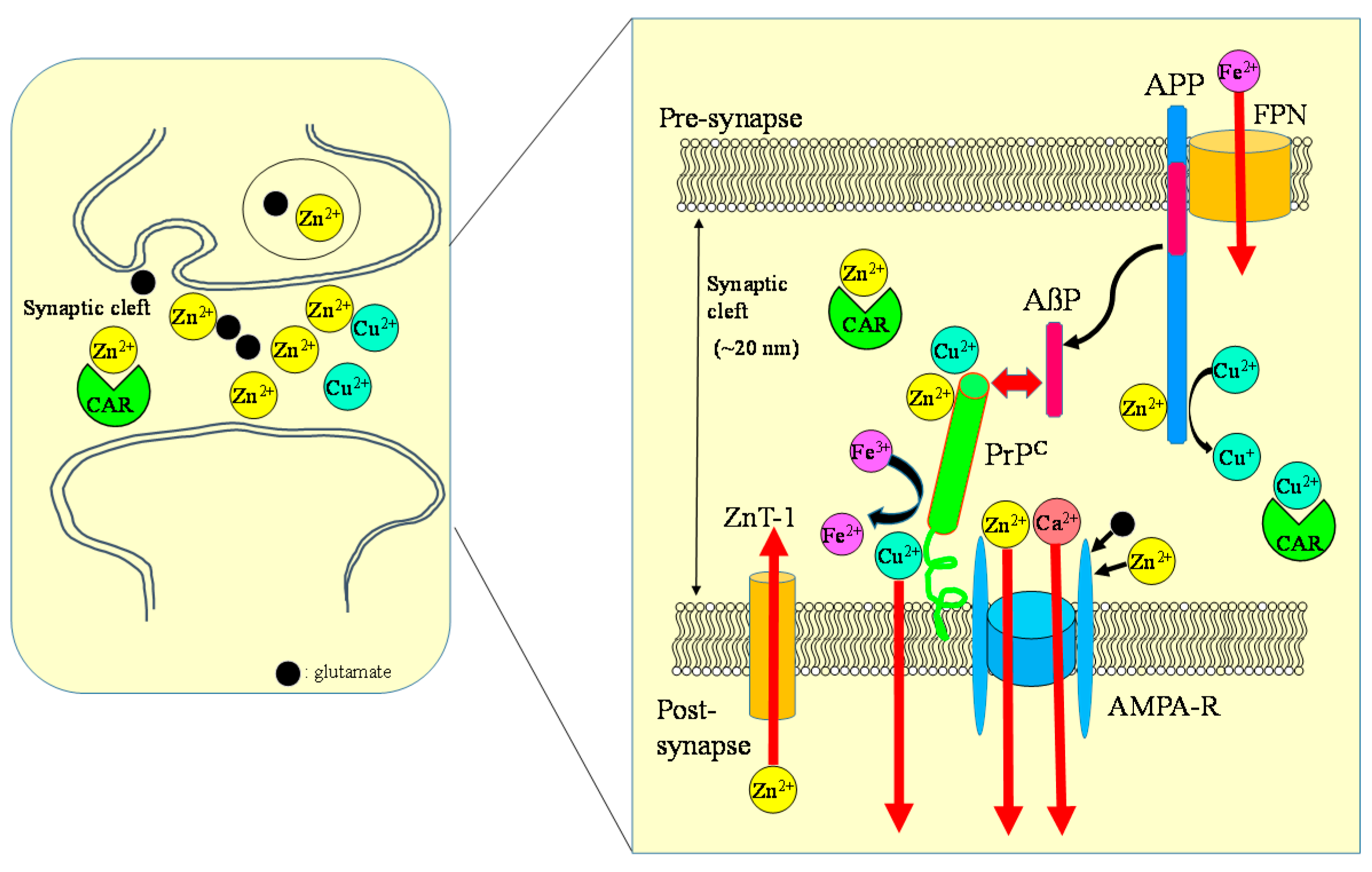 Nutrients 10 00147 g008