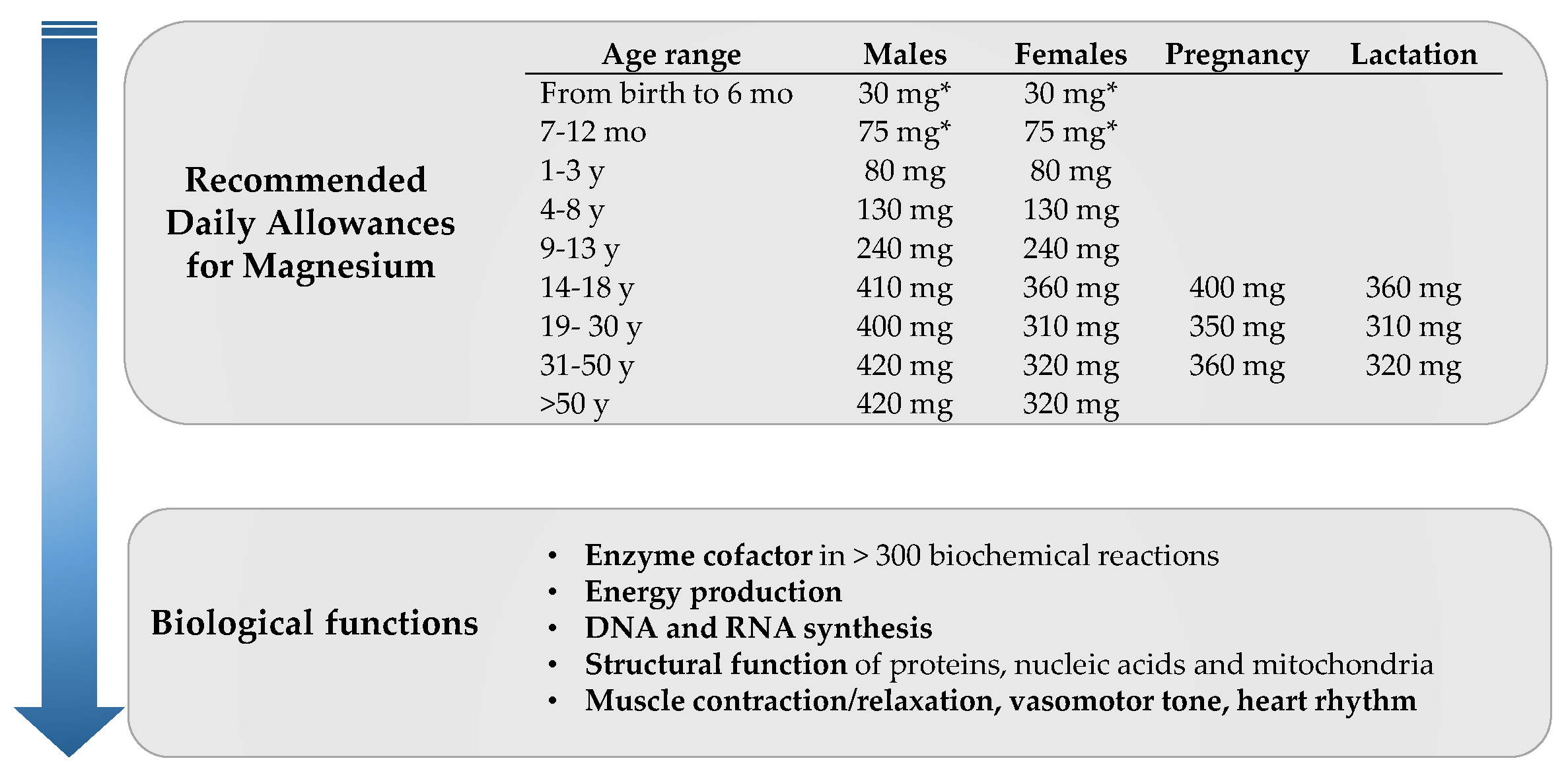 Age ranges. Magnesium Intake. Magnesium Intake graph. Magnesium Intake 2012. Магнезиум в6 Crush.