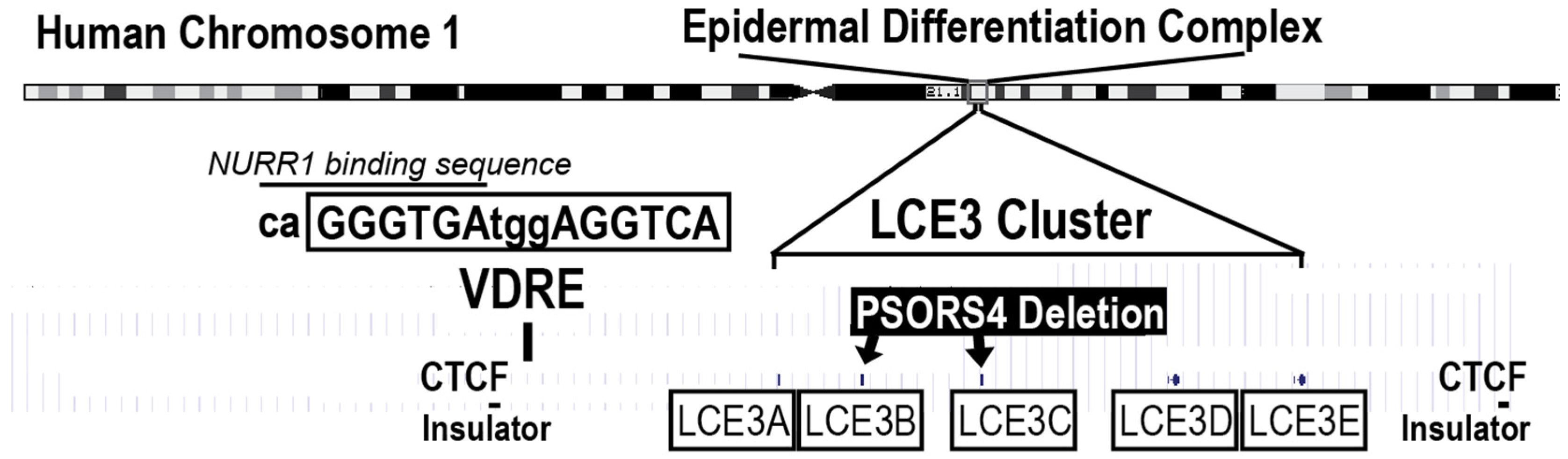 Nutrients 10 00174 g001