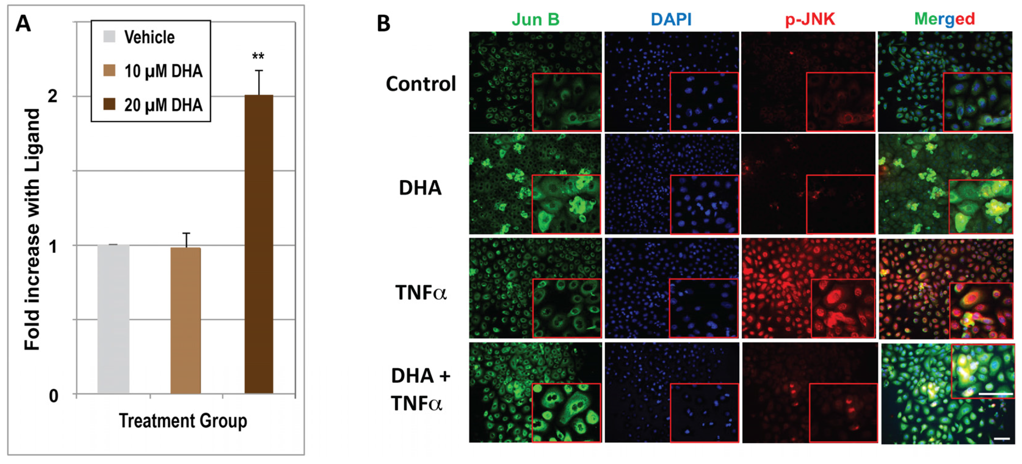 Nutrients 10 00174 g005