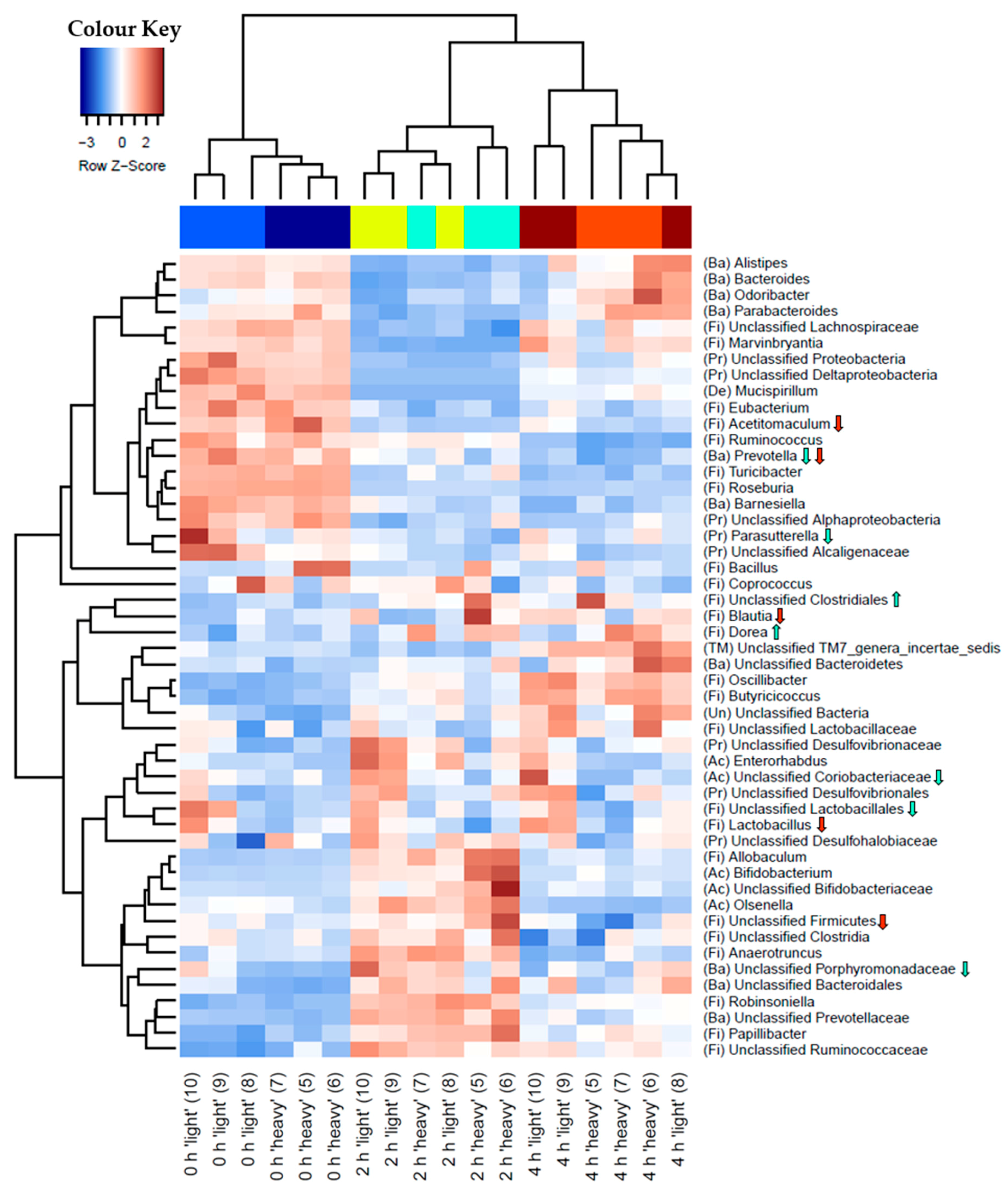 Nutrients 10 00179 g002 Nutrients 10 00179 g002
