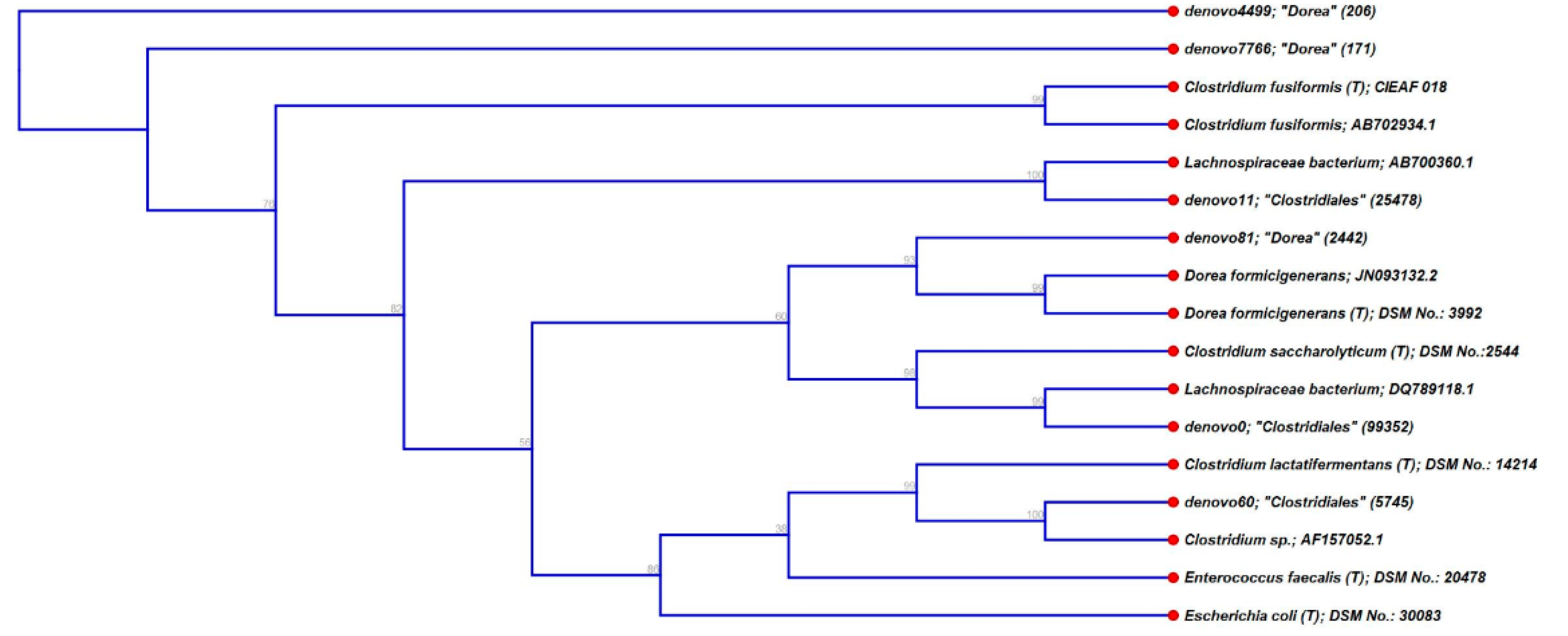 Nutrients 10 00179 g004 Nutrients 10 00179 g004