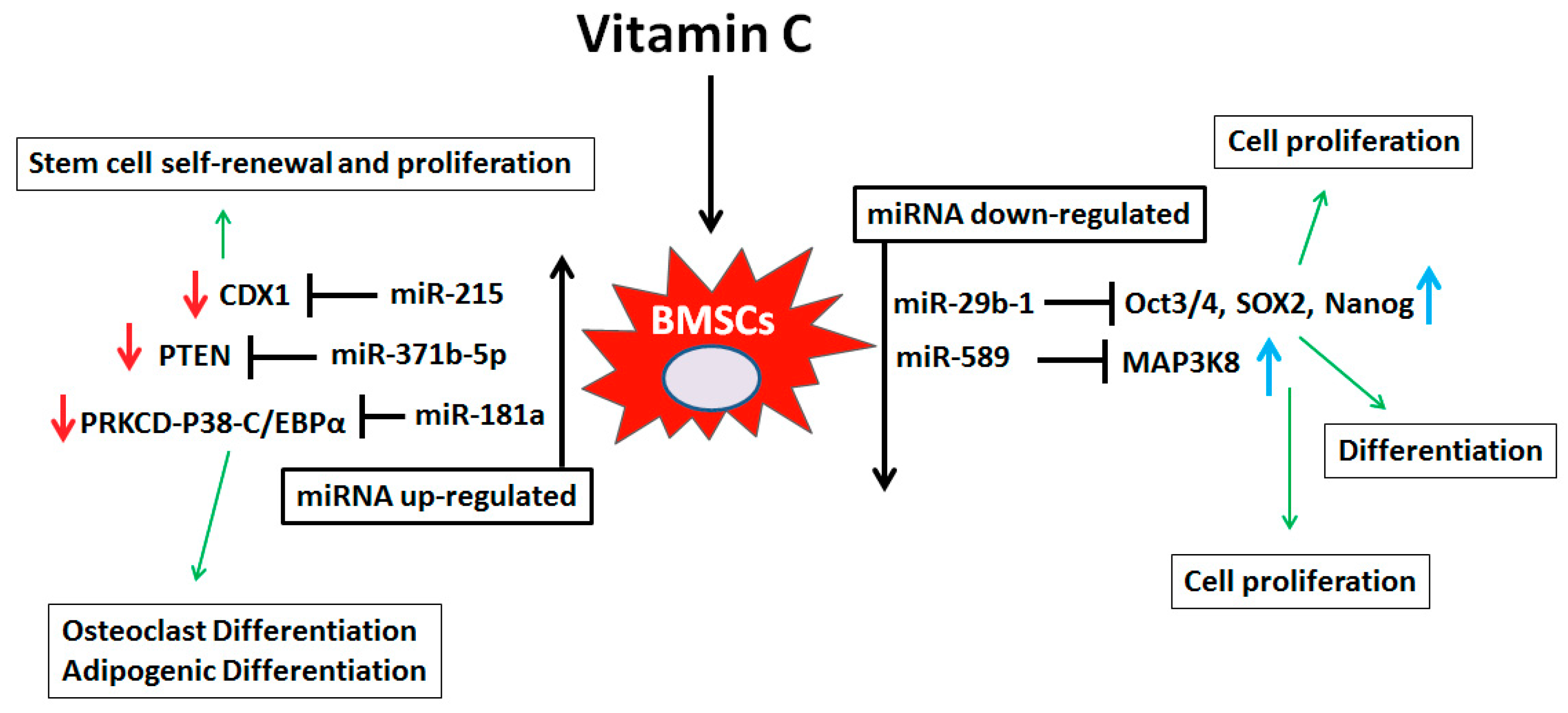 Nutrients 10 00186 g005