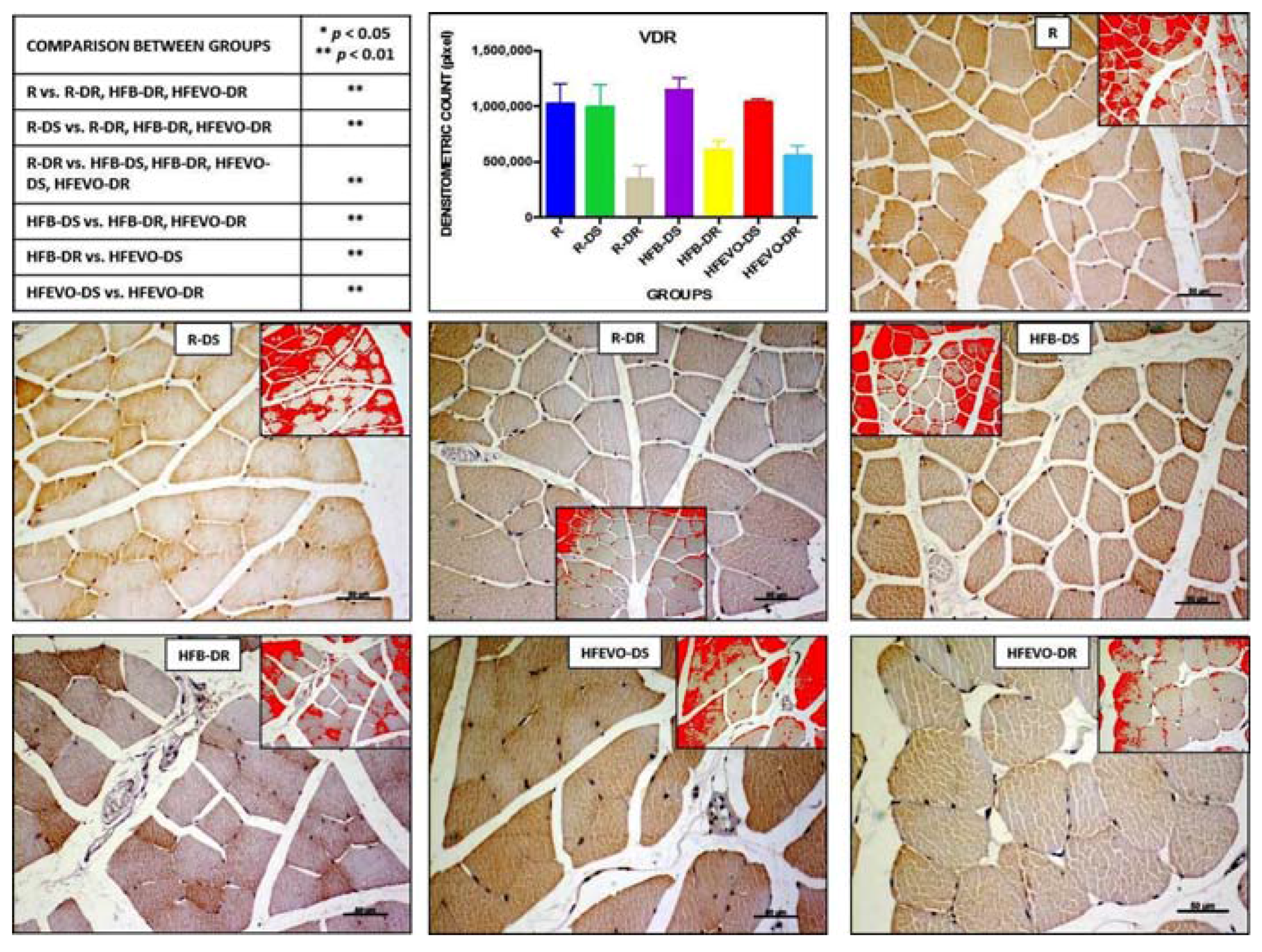 Nutrients 10 00231 g006