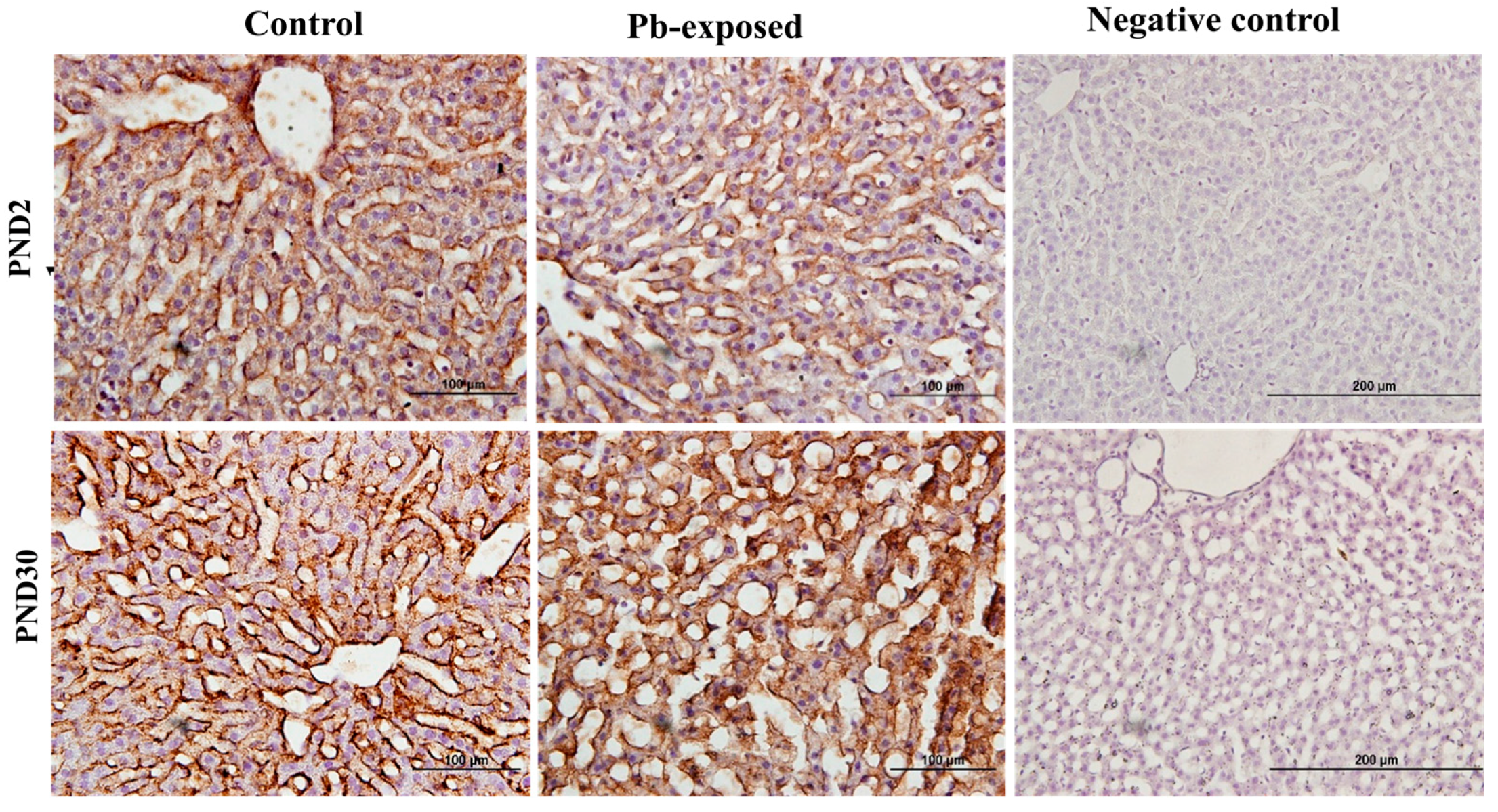 Nutrients 10 00264 g007 Nutrients 10 00264 g007