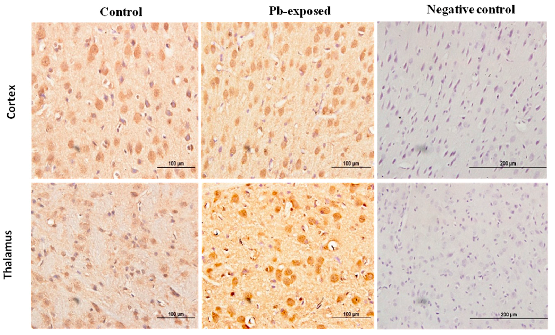 Nutrients 10 00264 g010 Nutrients 10 00264 g010