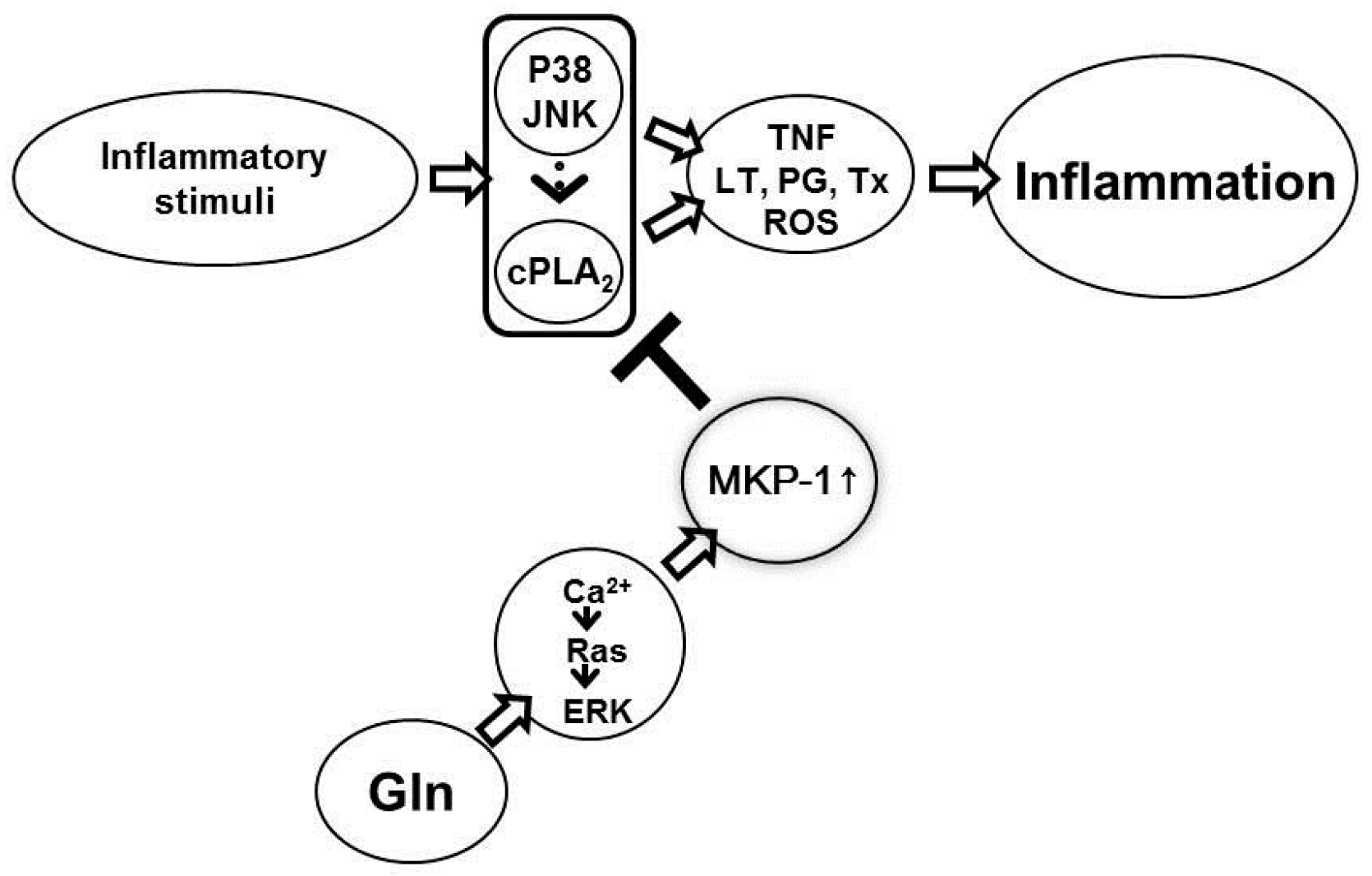 Nutrients 10 00288 g005
