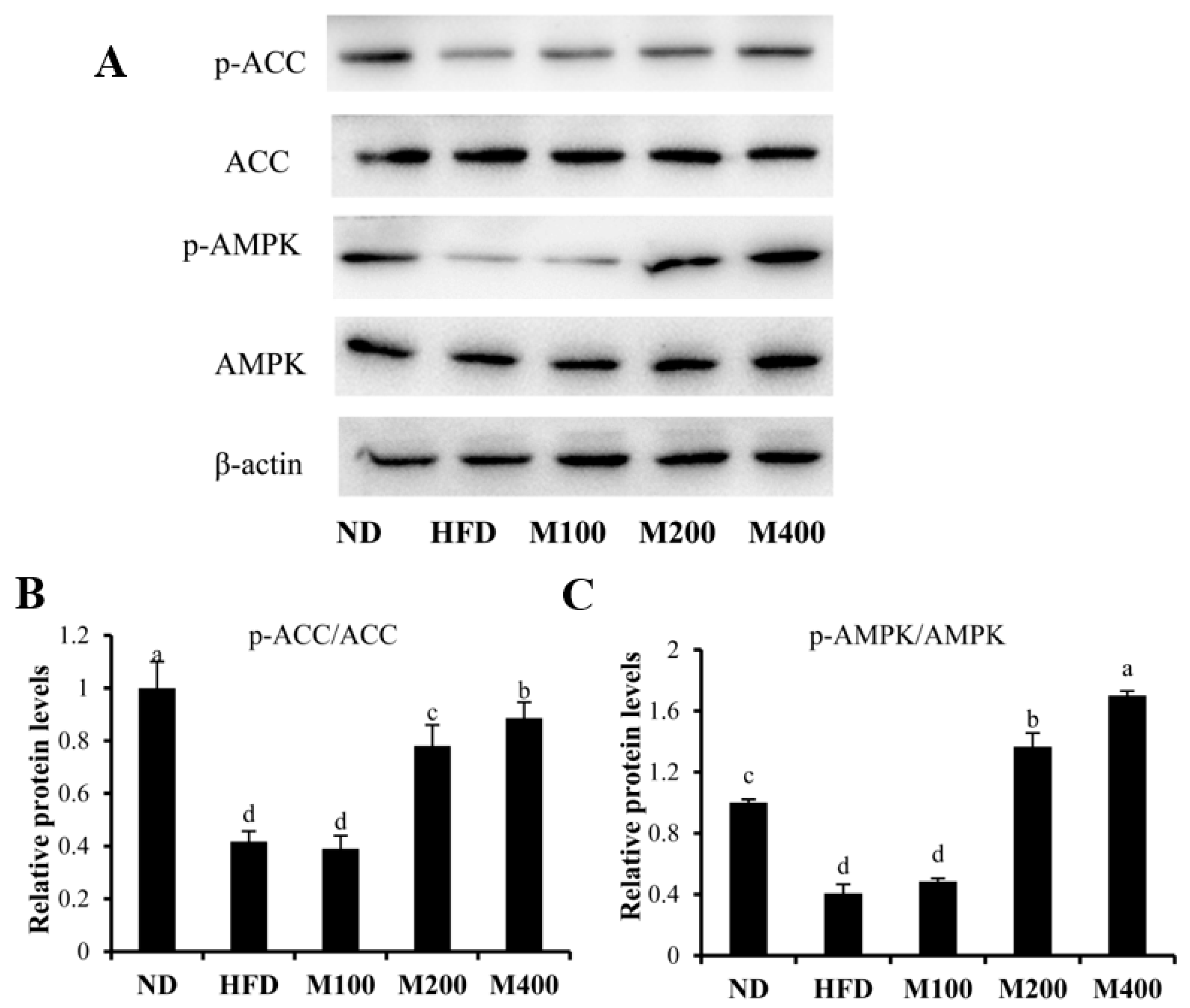 Nutrients 10 00331 g004