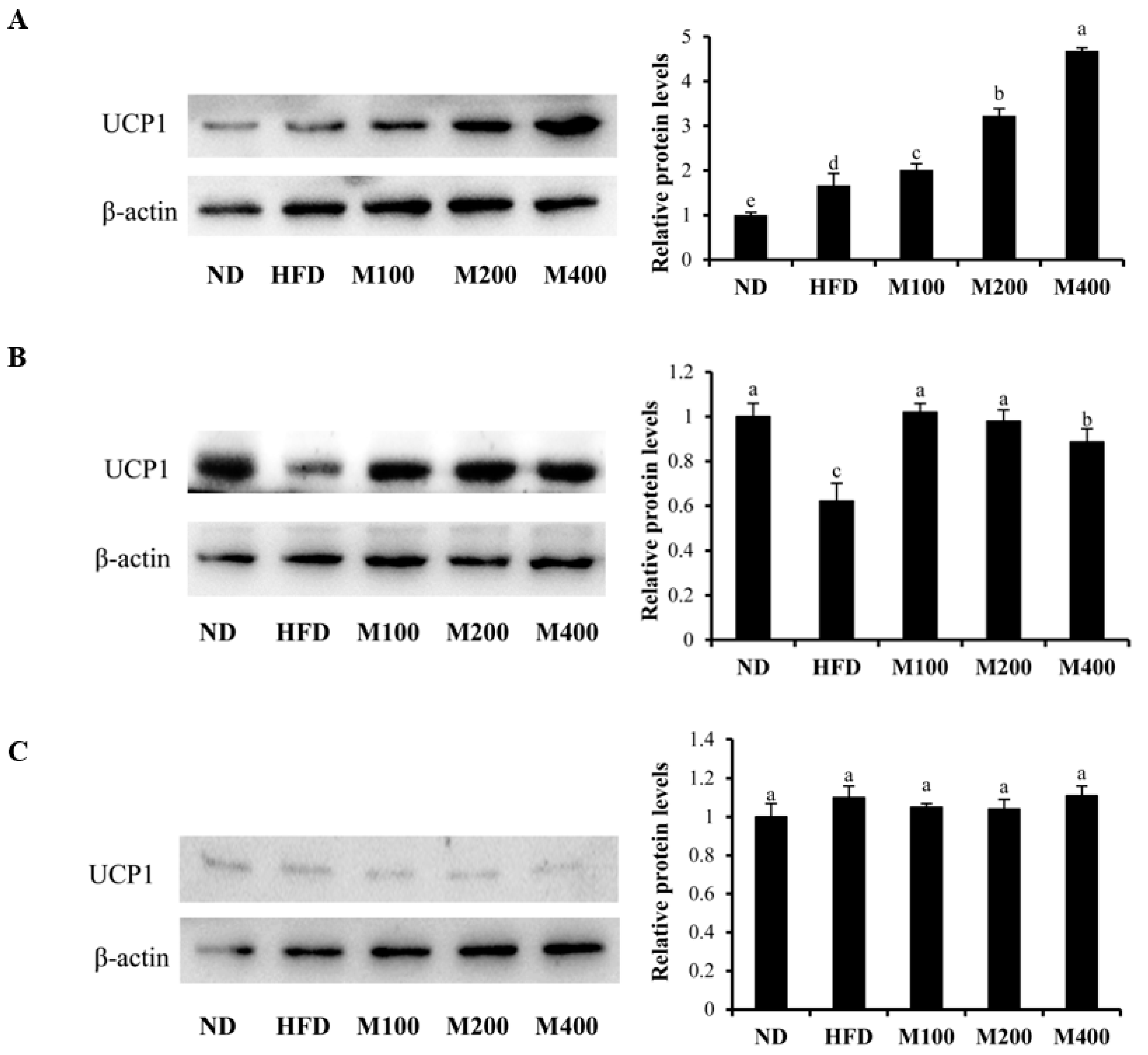 Nutrients 10 00331 g005