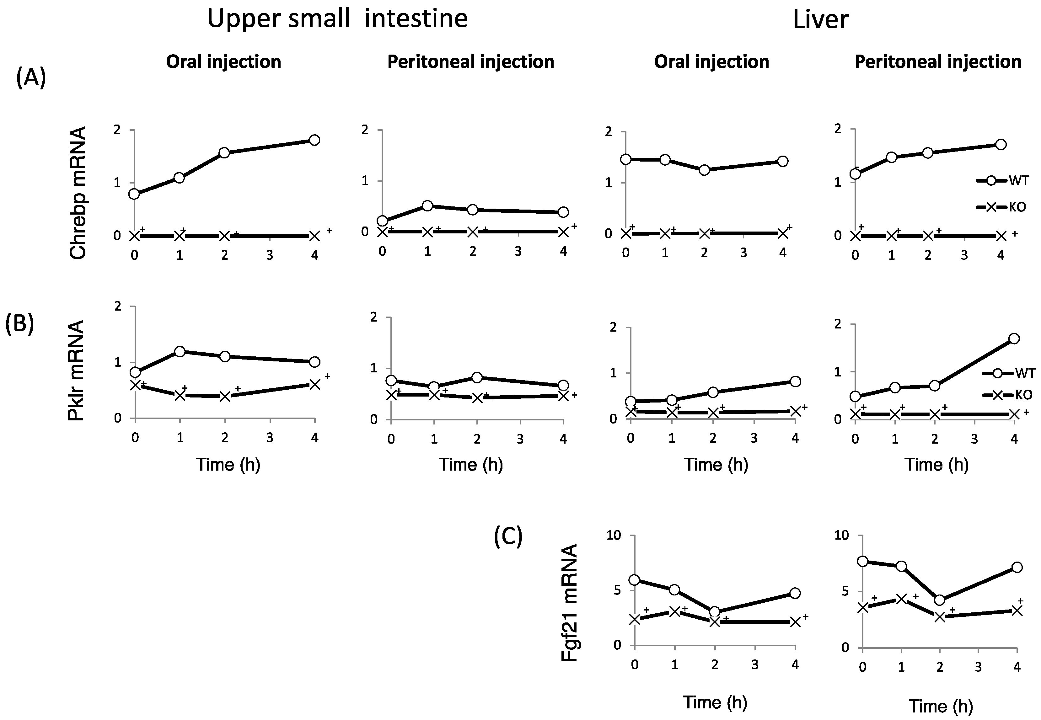 Nutrients 10 00340 g005a