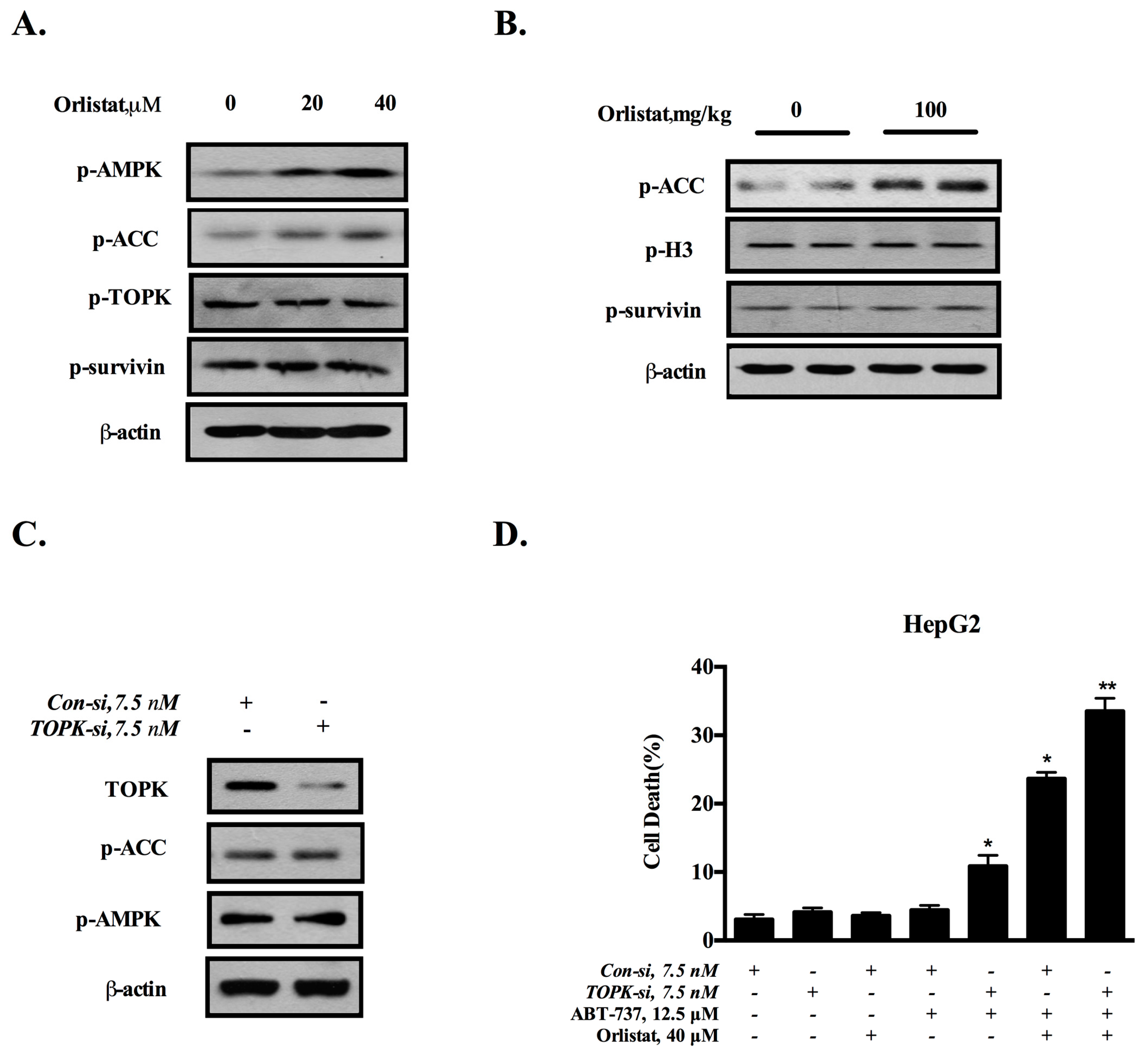 Nutrients 10 00353 g006