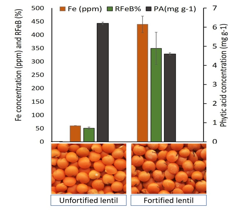 Nutrients Free FullText Relative Bioavailability of Iron in