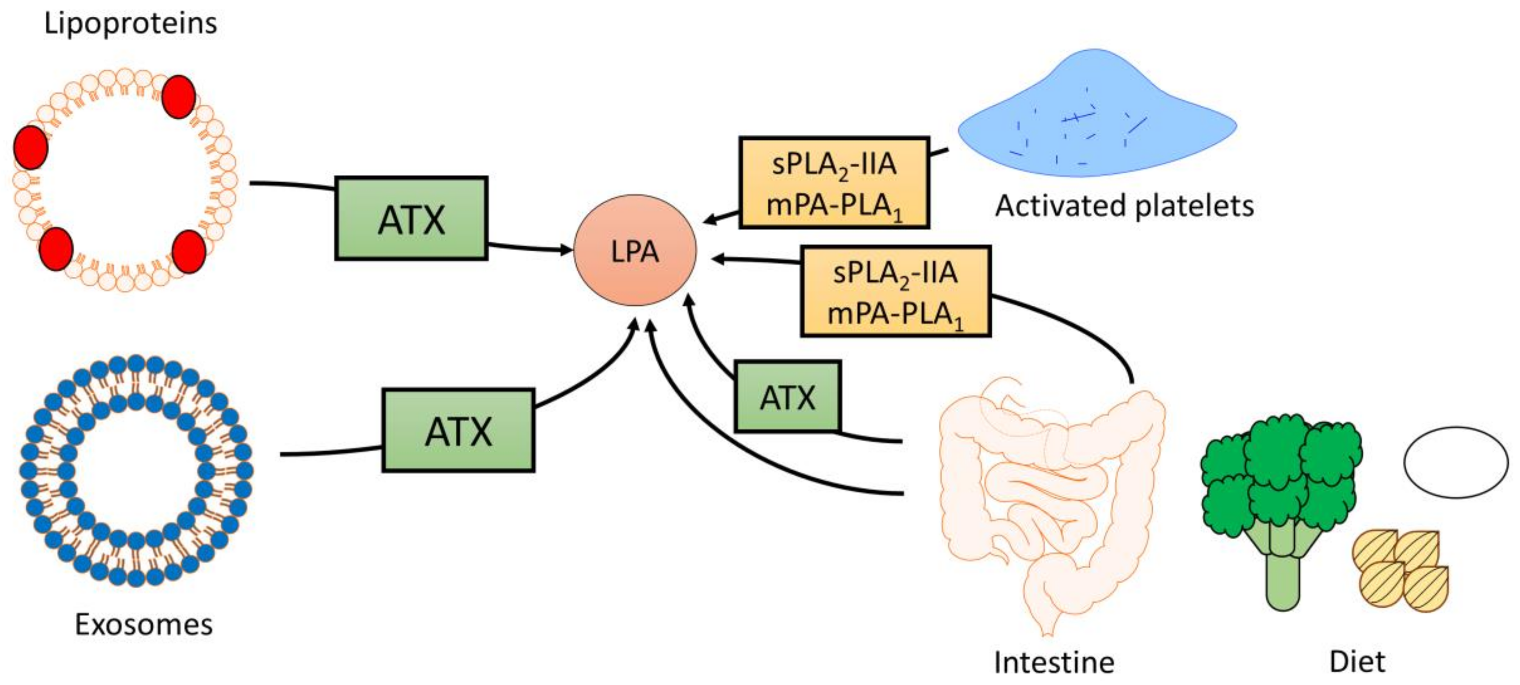 Lpa lipid Lpa lipid