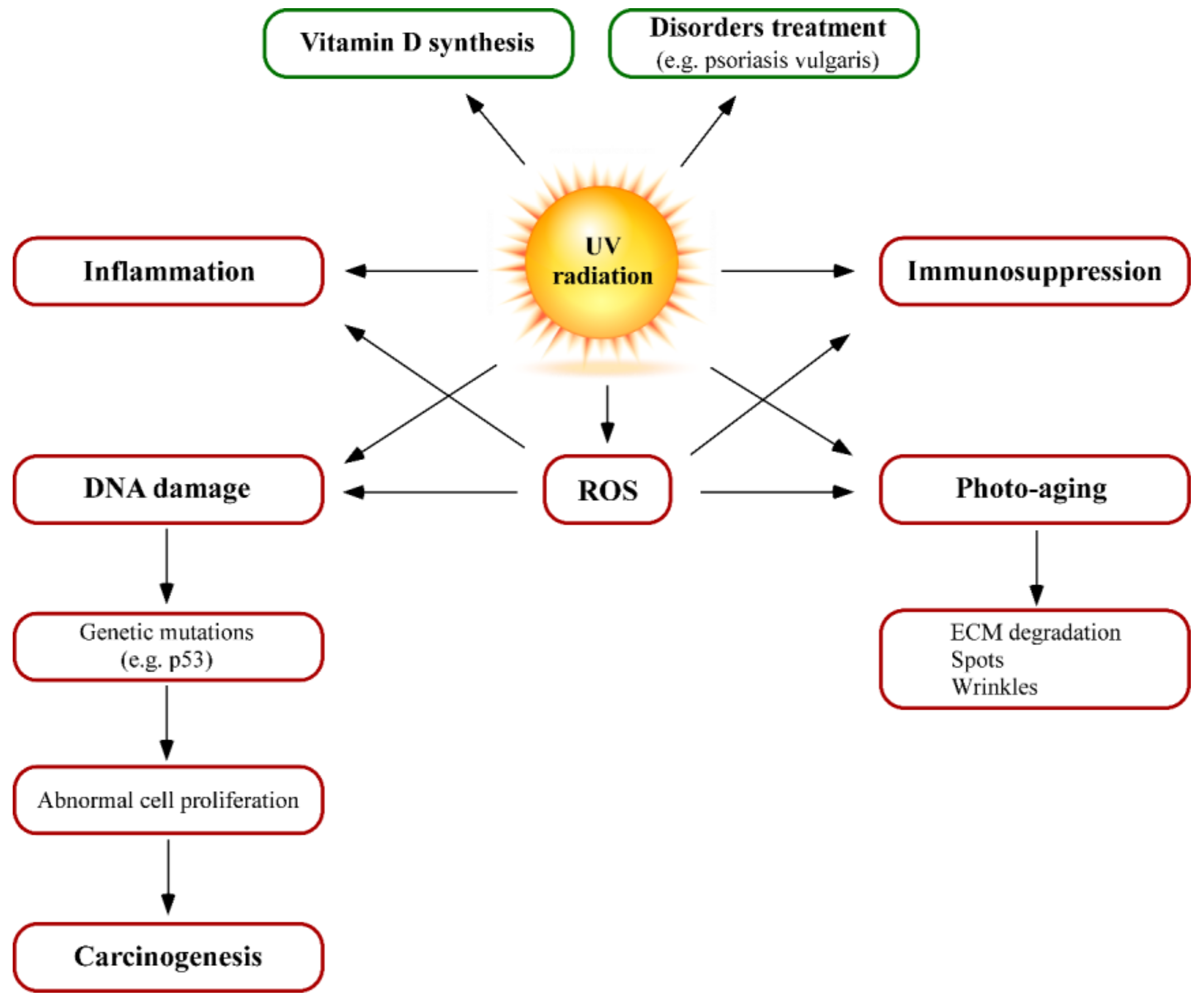 Nutrients Free Full Text Nutraceuticals For Skin Care A
