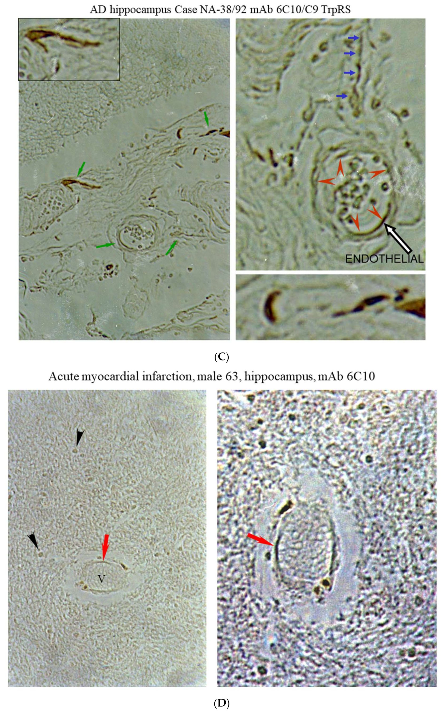 Nutrients 10 00410 g002b Nutrients 10 00410 g002b