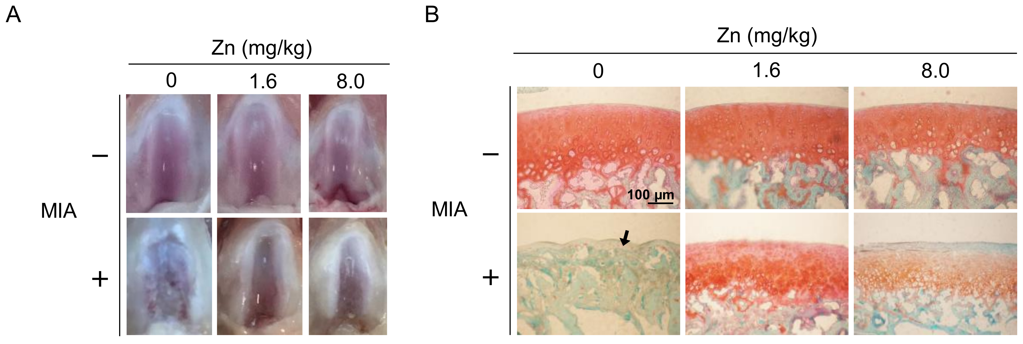 Nutrients 10 00471 g006a